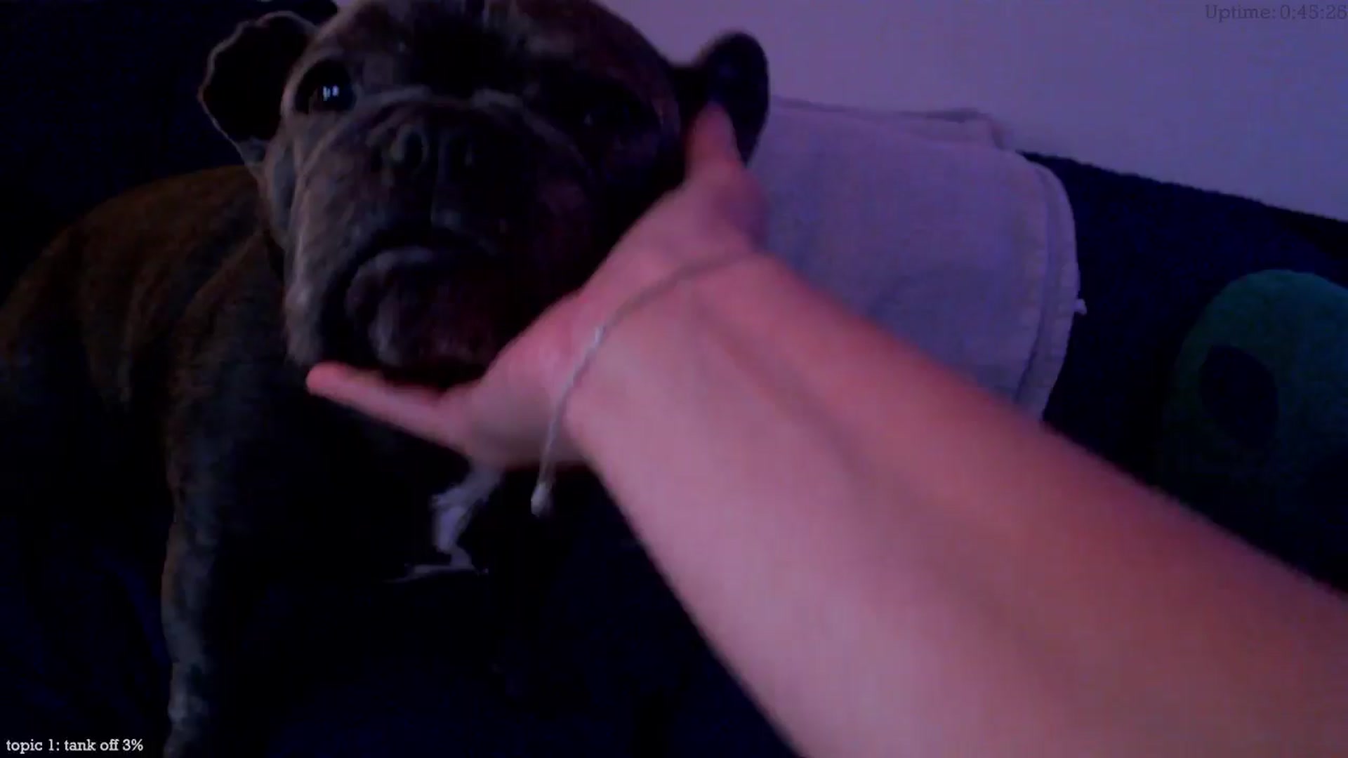Gallery image thumbnail from Marie's myfreecams stream on, 12/27/2024, 04:29 image 9 of 20