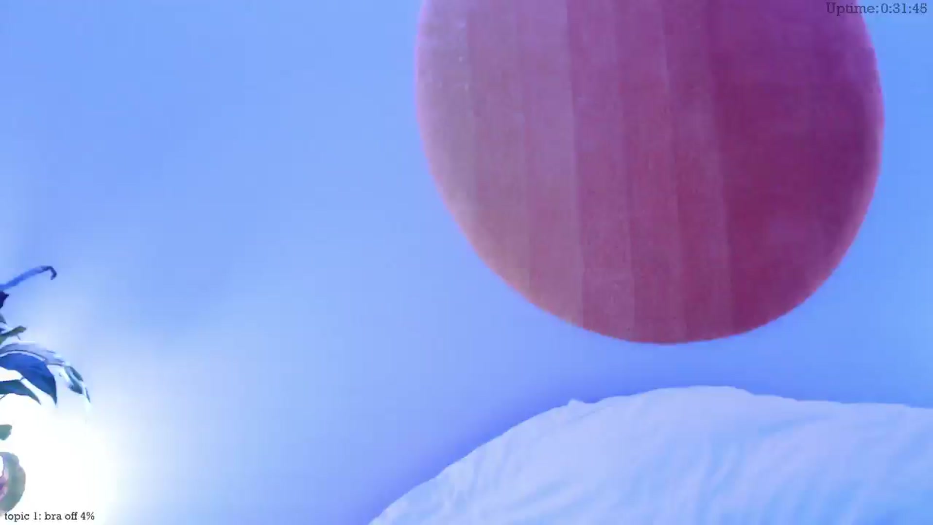 Gallery image thumbnail from Marie's myfreecams stream on, 01/24/2025, 01:12 image 12 of 20