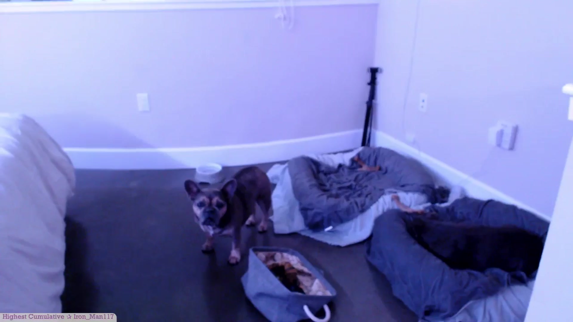 Gallery image thumbnail from Marie's myfreecams stream on, 05/17/2025, 24:30 image 20 of 20