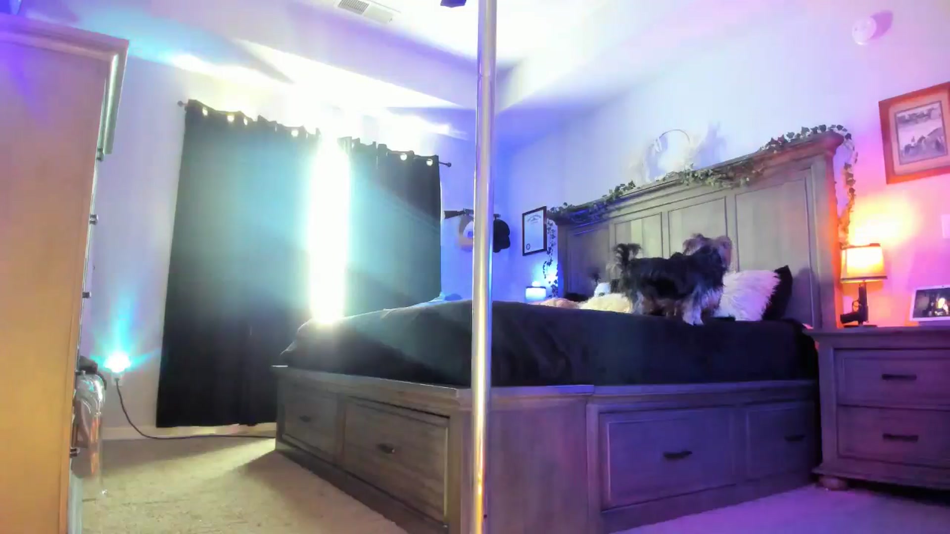 Gallery image thumbnail from Marilyn_BDAY's myfreecams stream on, 02/03/2025, 19:00 image 20 of 20