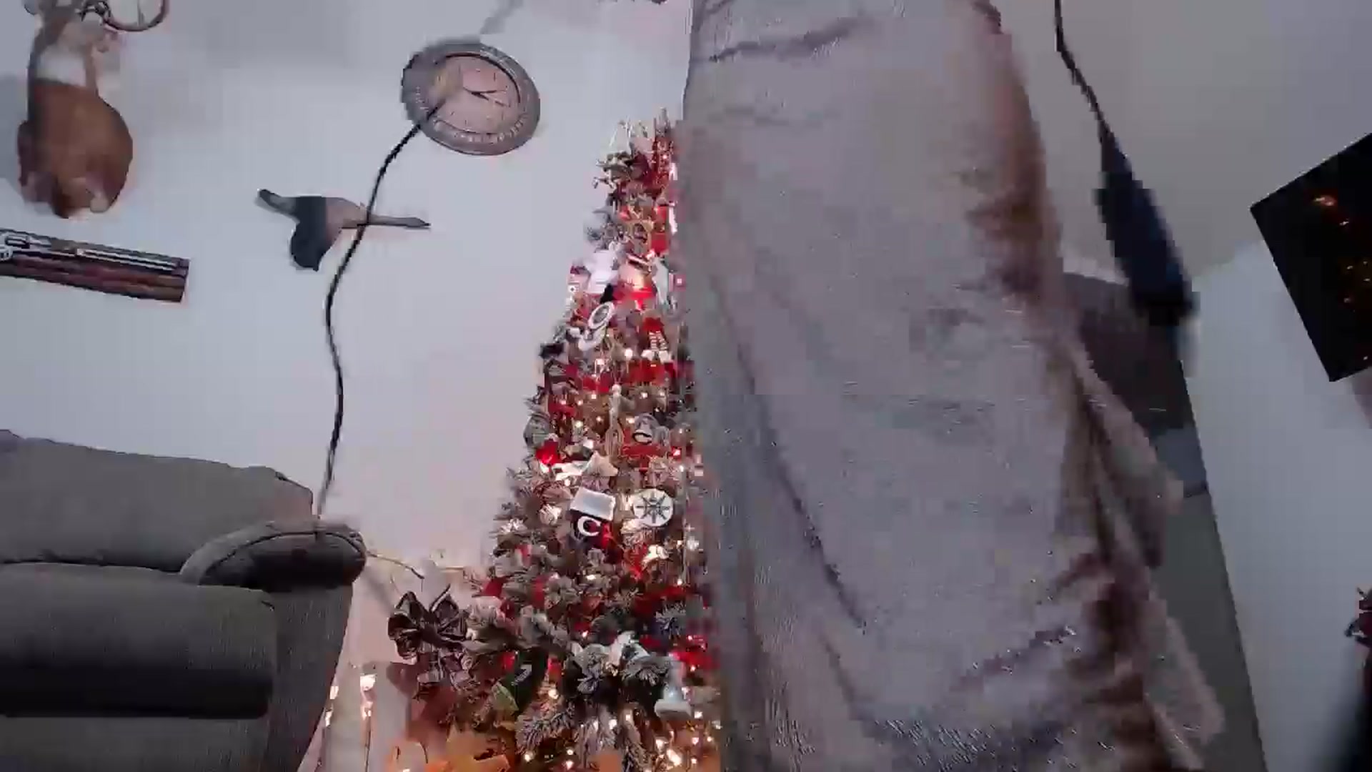Gallery image thumbnail from Marilyn_XO's myfreecams stream on, 11/18/2024, 18:39 image 8 of 20