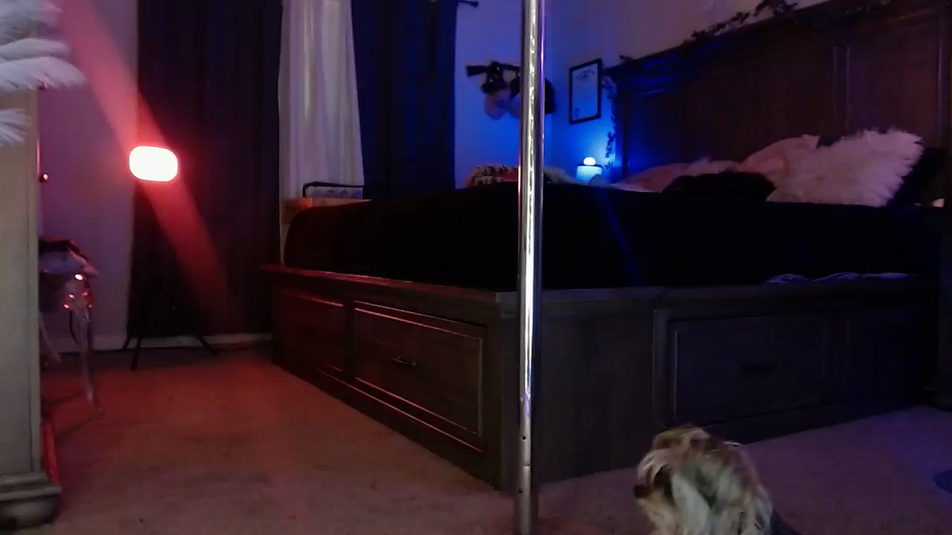 Gallery image thumbnail from Marilyn_XO's myfreecams stream on, 12/22/2024, 23:34 image 11 of 20