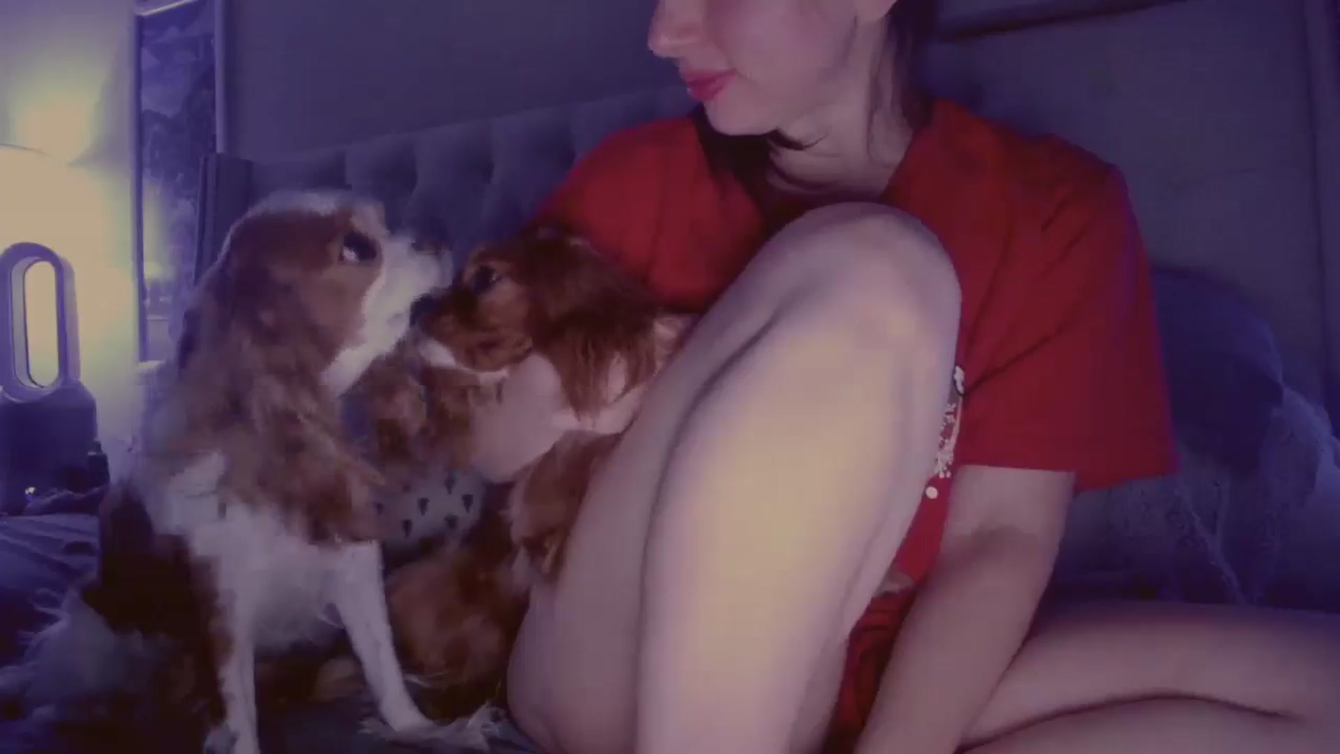Gallery image thumbnail from MarissaCoopr's myfreecams stream on, 05/13/2024, 11:41 image 7 of 20