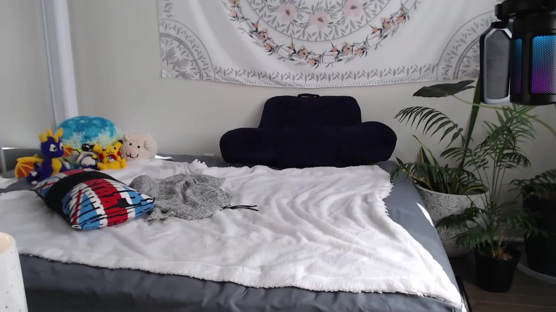 Gallery image thumbnail from MarissaPeach's myfreecams stream on, 02/01/2025, 18:14 image 15 of 20