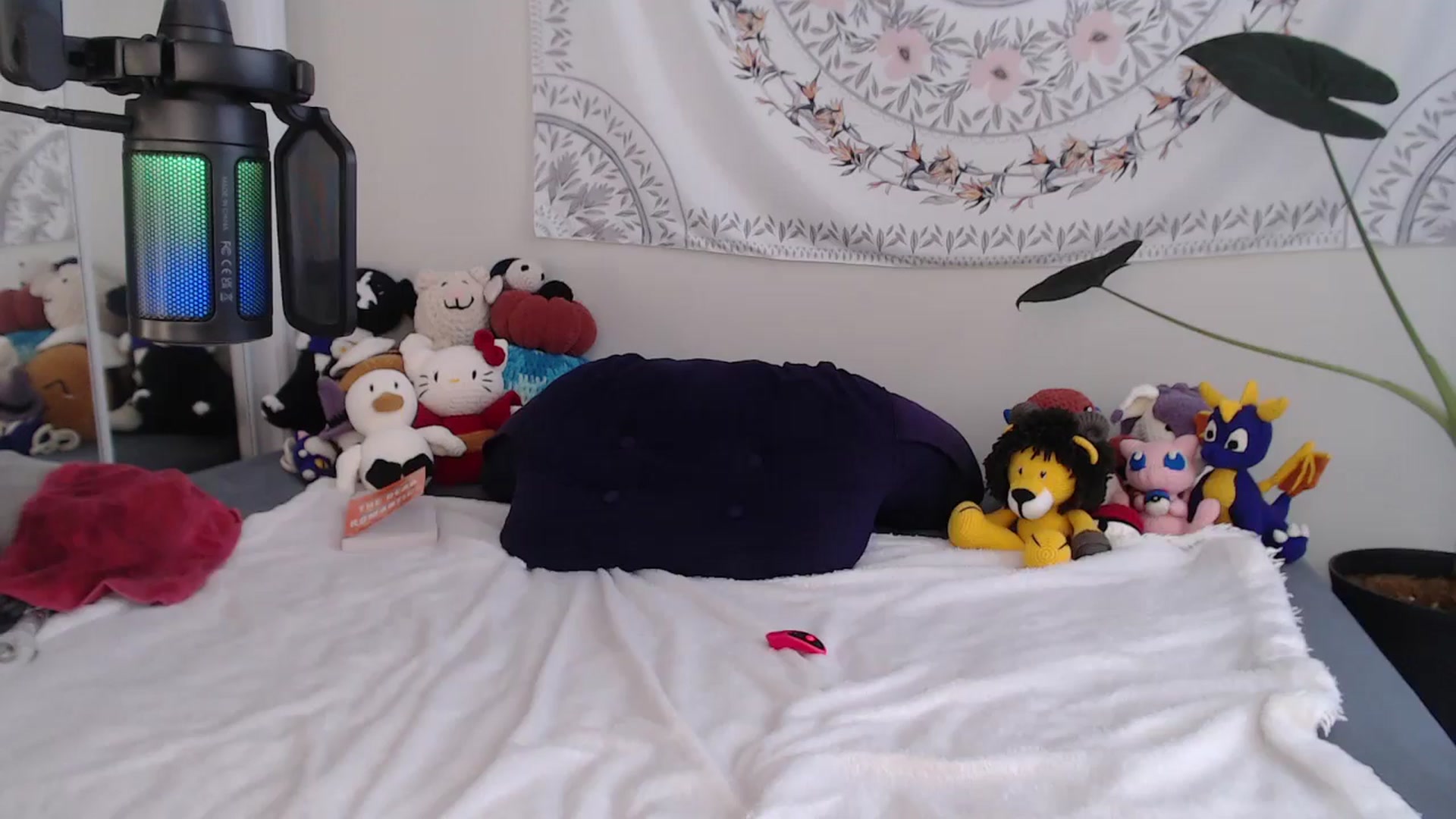 Gallery image thumbnail from MarissaPeach's myfreecams stream on, 12/22/2025, 17:46 image 20 of 20