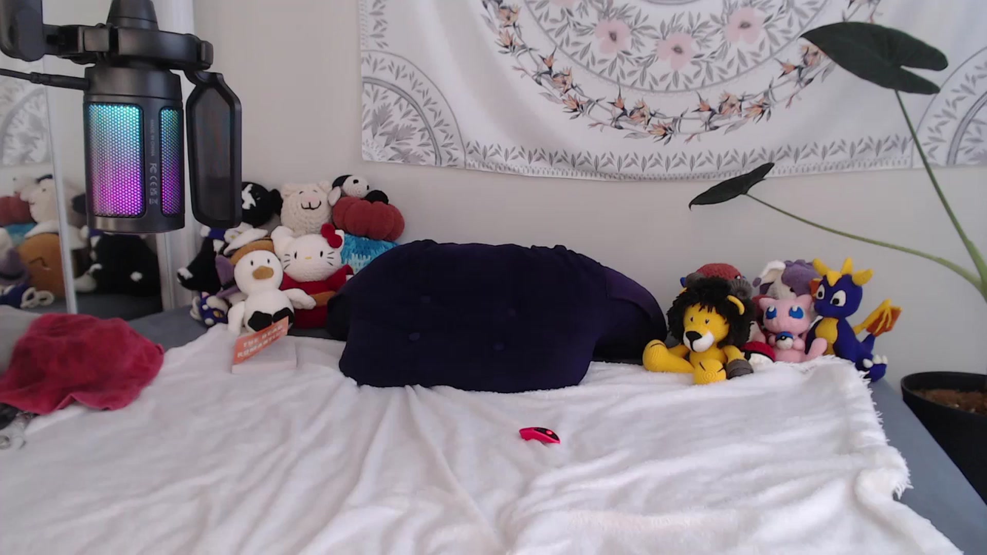 Gallery image thumbnail from MarissaPeach's myfreecams stream on, 12/22/2025, 17:46 image 18 of 20