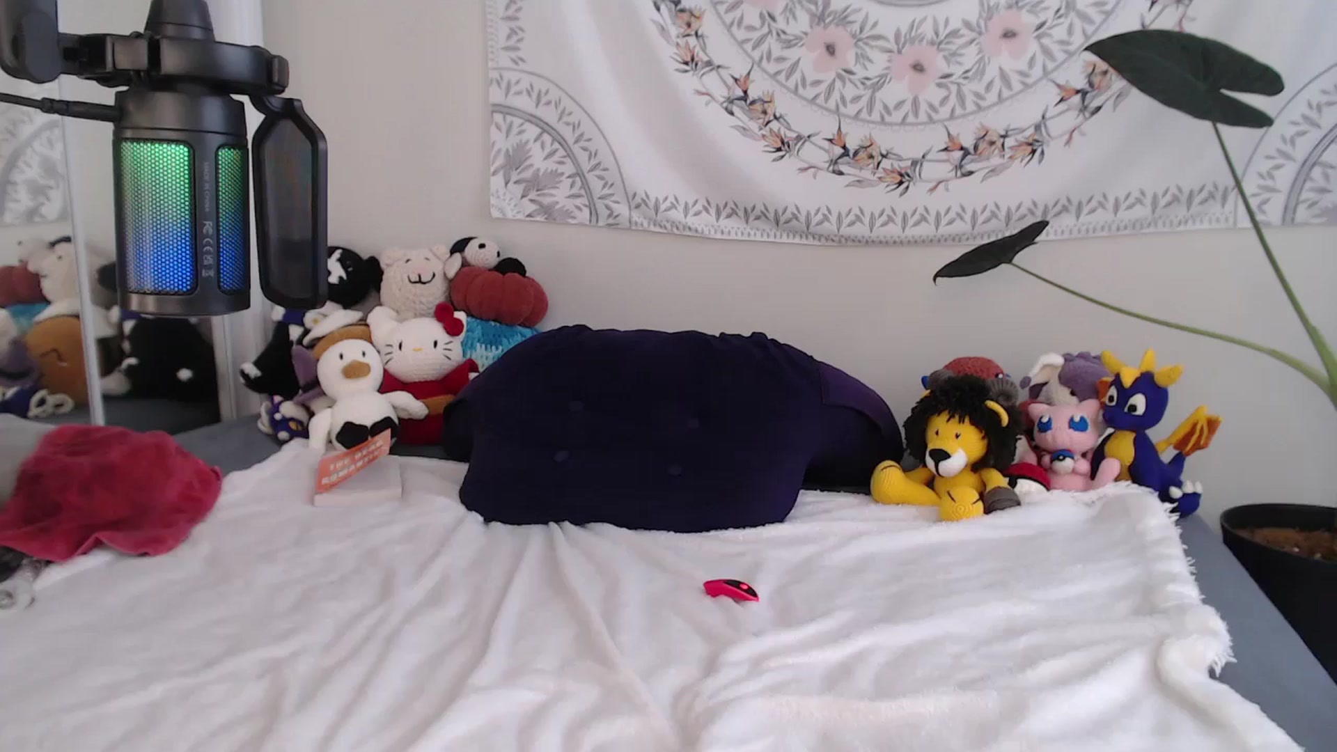 Gallery image thumbnail from MarissaPeach's myfreecams stream on, 12/22/2025, 17:46 image 15 of 20