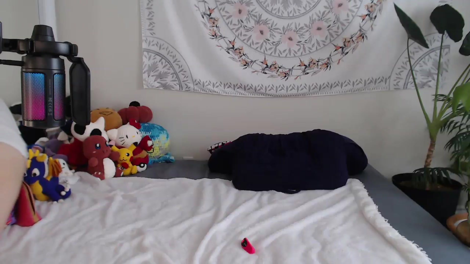Gallery image thumbnail from MarissaPeach's myfreecams stream on, 05/30/2026, 17:42 image 17 of 20