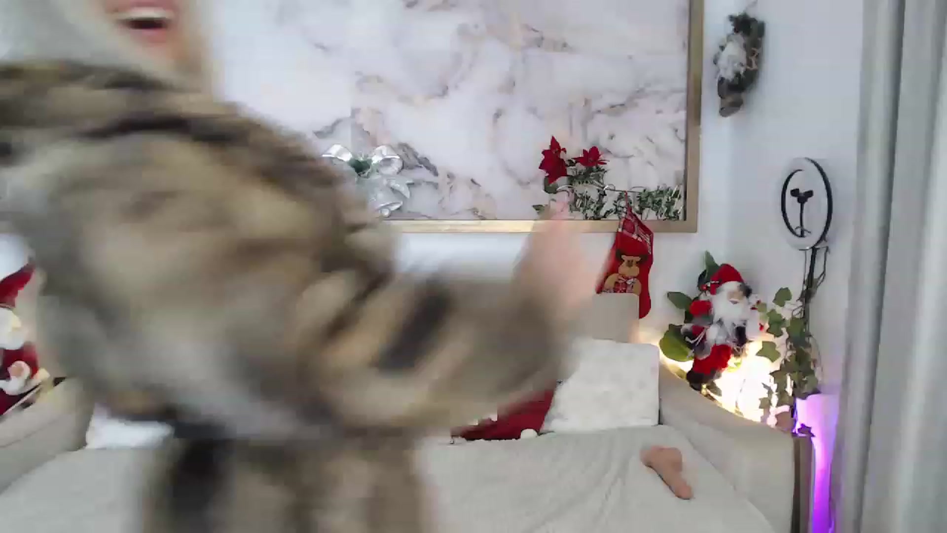 Gallery image thumbnail from MarrylouAnne's myfreecams stream on, 12/31/2022, 02:18 image 6 of 20