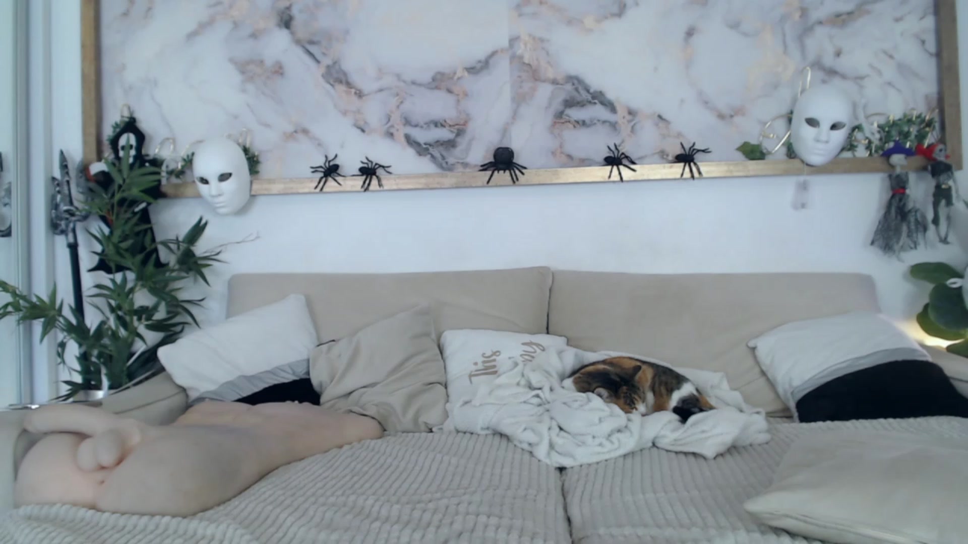 Gallery image thumbnail from MarrylouAnne's myfreecams stream on, 10/31/2023, 23:42 image 11 of 20
