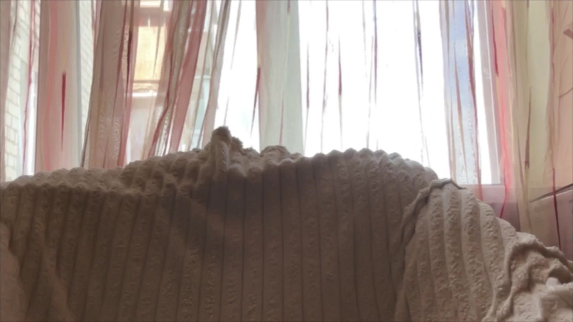 Gallery image thumbnail from MaryCut's myfreecams stream on, 08/21/2025, 10:01 image 19 of 20