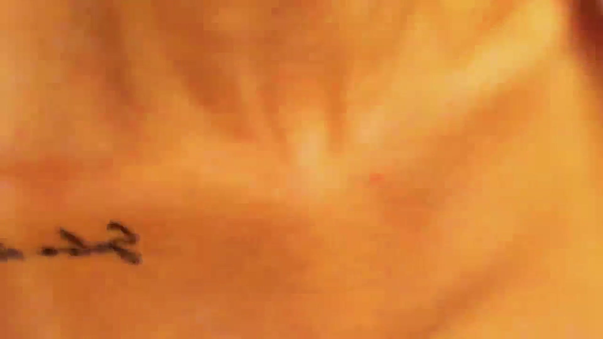 Gallery image thumbnail from MarySweety_'s myfreecams stream on, 08/28/2023, 04:59 image 8 of 20