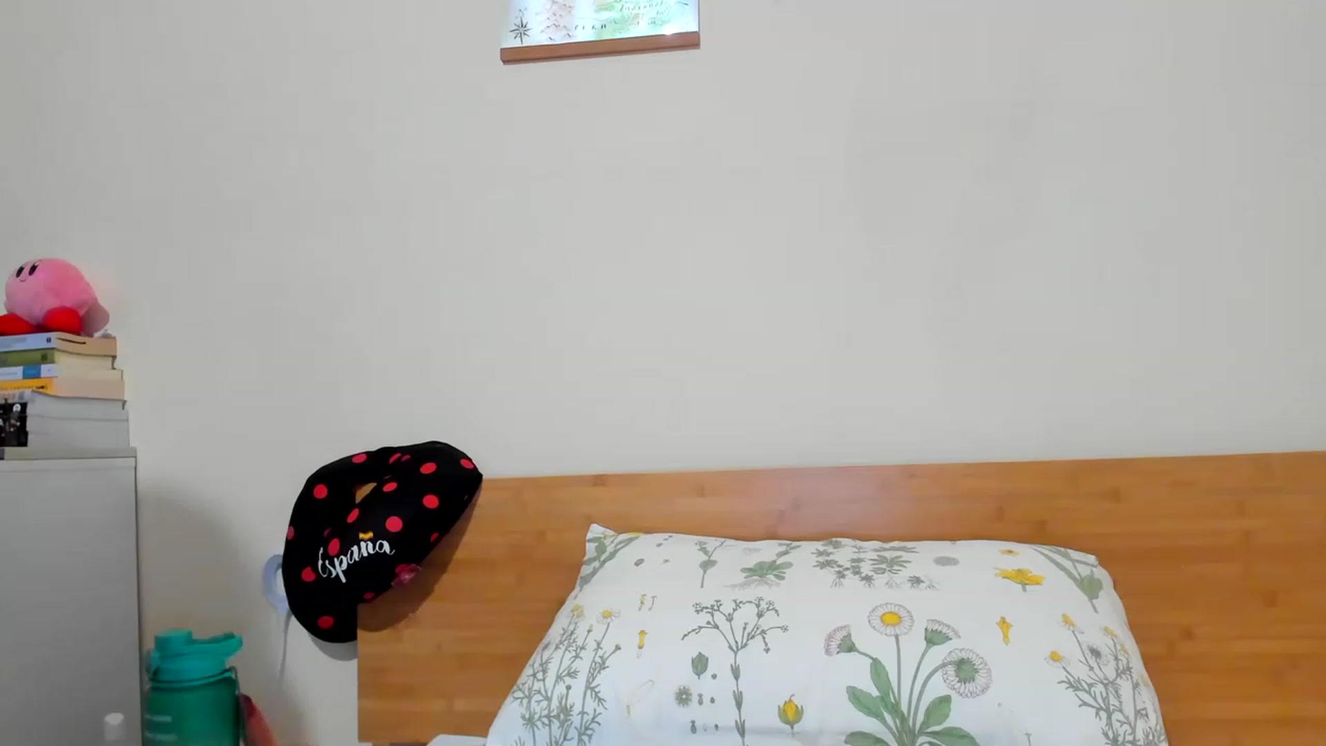 Gallery image thumbnail from MaryVader's myfreecams stream on, 06/04/2023, 07:31 image 8 of 20