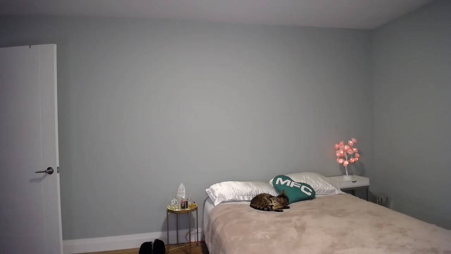 Gallery image thumbnail from MaryWana_'s myfreecams stream on, 03/08/2023, 01:57 image 12 of 20