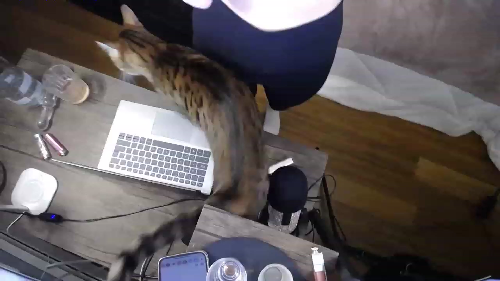 Gallery image thumbnail from MaryWana_'s myfreecams stream on, 04/09/2023, 03:34 image 3 of 20