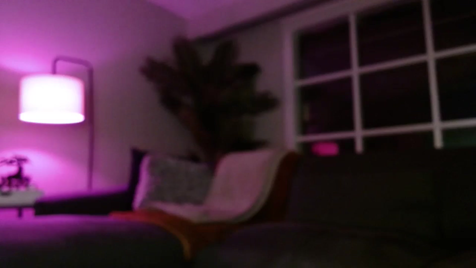 Gallery image thumbnail from MaryWana_'s myfreecams stream on, 02/19/2024, 10:47 image 9 of 20