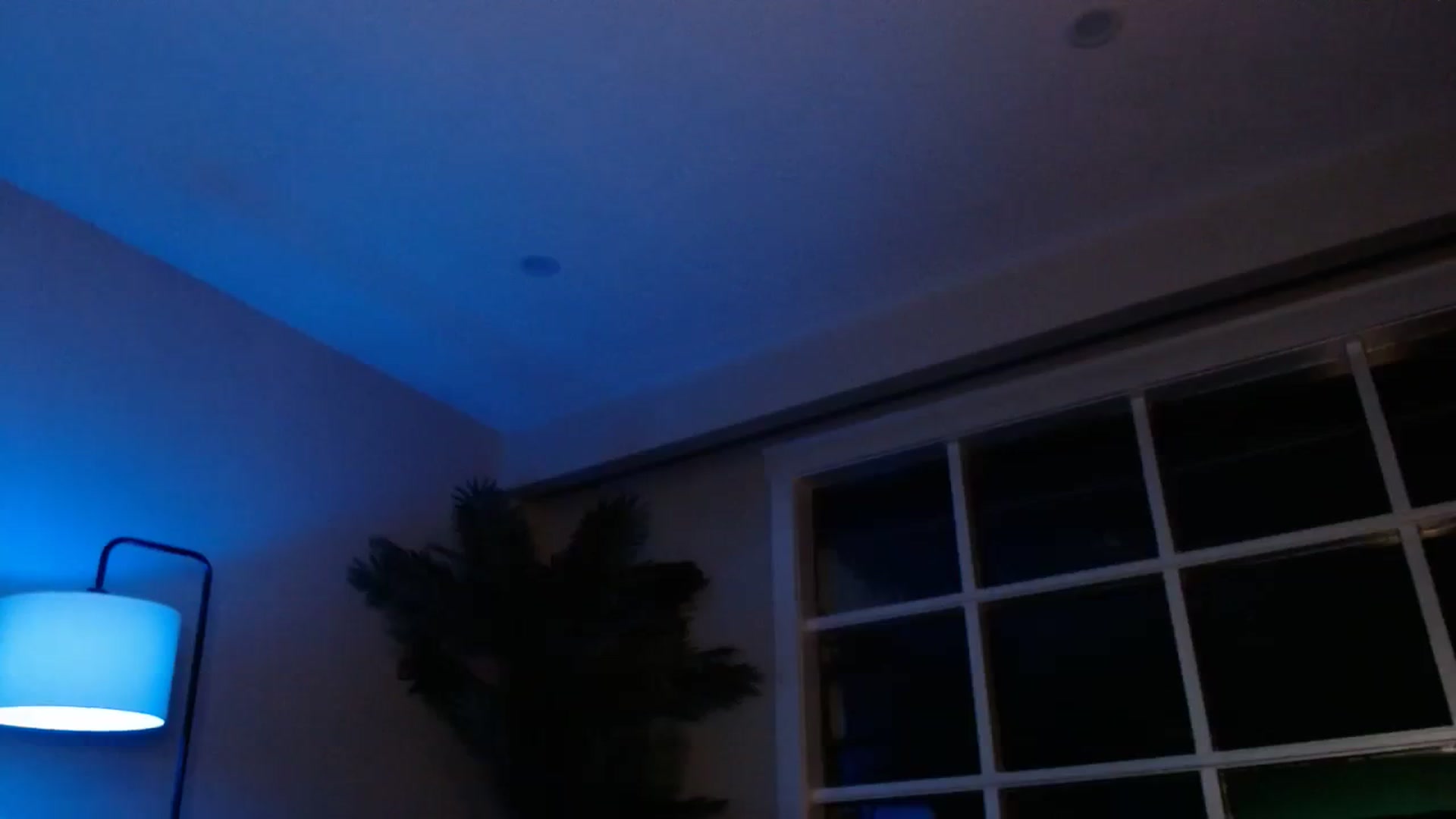 Gallery image thumbnail from MaryWana_'s myfreecams stream on, 02/19/2024, 11:36 image 12 of 20