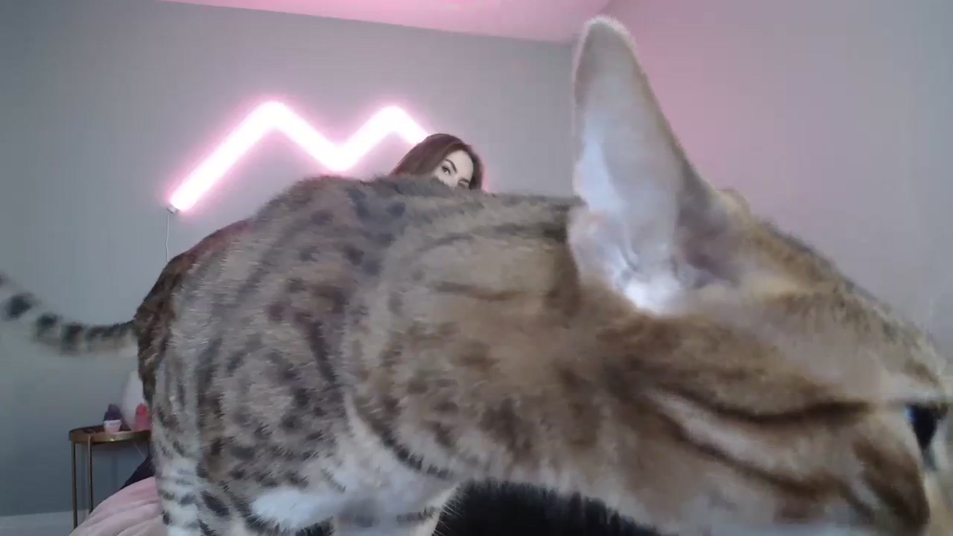 Gallery image thumbnail from MaryWana_'s myfreecams stream on, 03/31/2024, 10:52 image 9 of 20