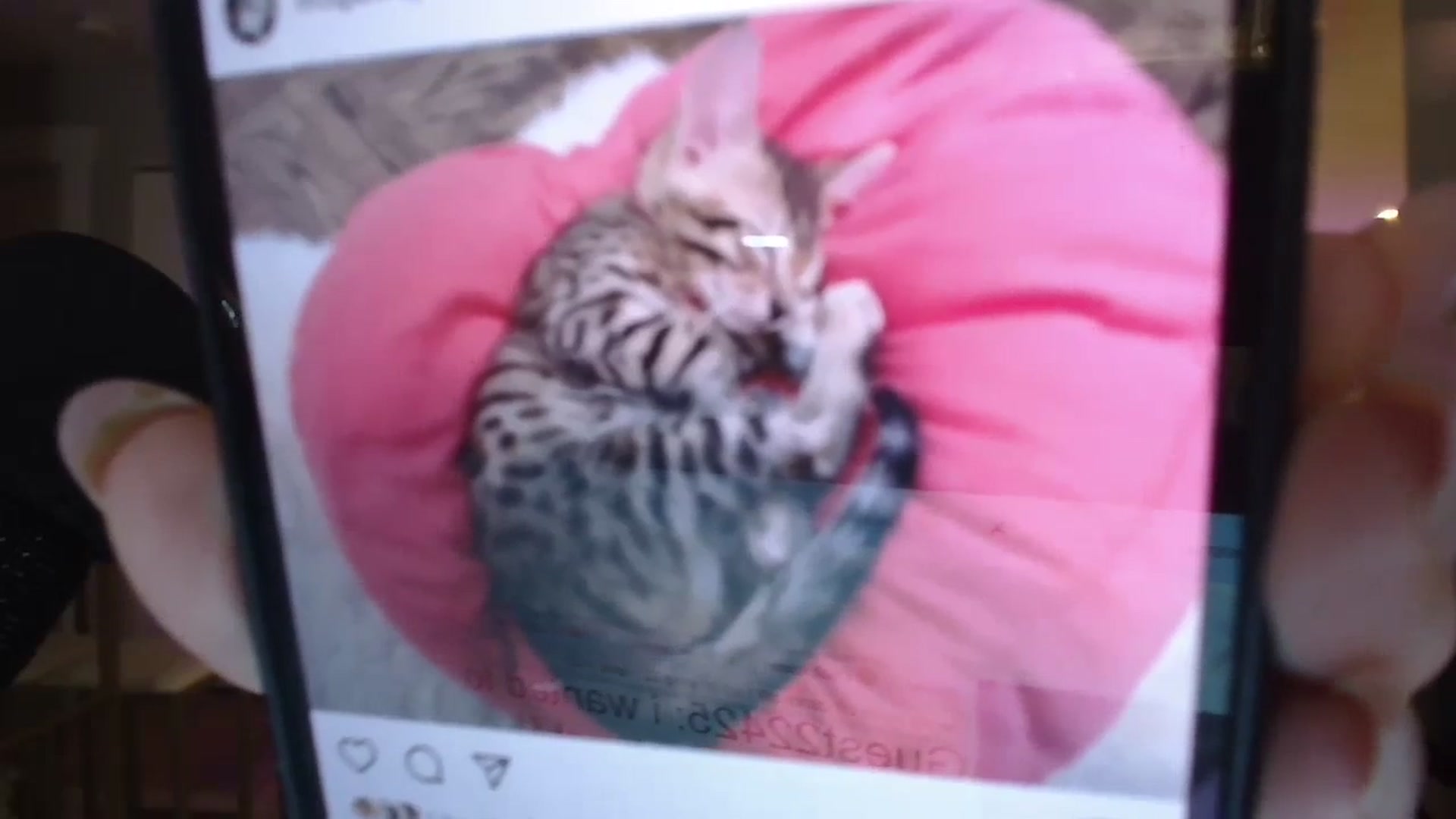Gallery image thumbnail from MaryWana_'s myfreecams stream on, 04/14/2024, 06:39 image 20 of 20