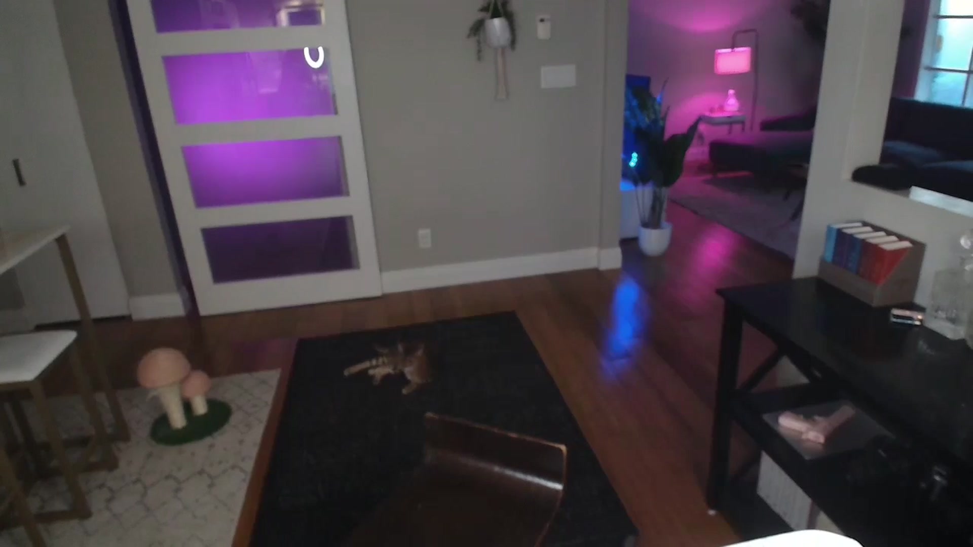 Gallery image thumbnail from MaryWana_'s myfreecams stream on, 07/07/2024, 01:23 image 2 of 20