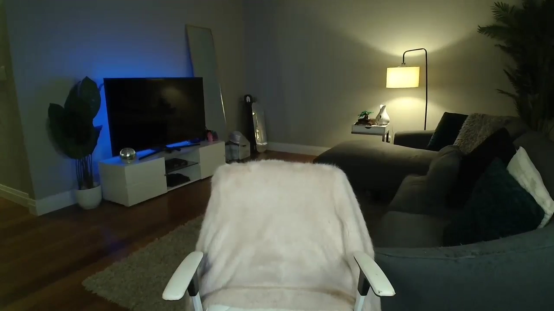 Gallery image thumbnail from MaryWana_'s myfreecams stream on, 10/10/2024, 02:46 image 11 of 20