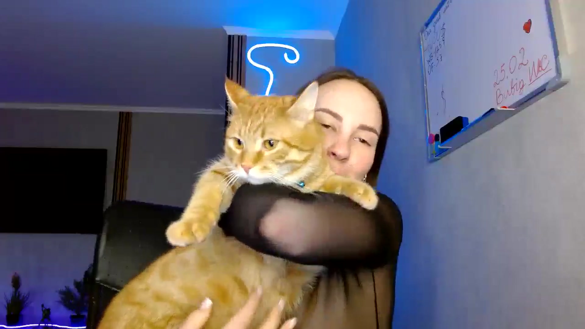 Gallery image thumbnail from Maryme_myr's myfreecams stream on, 02/17/2025, 23:58 image 5 of 20