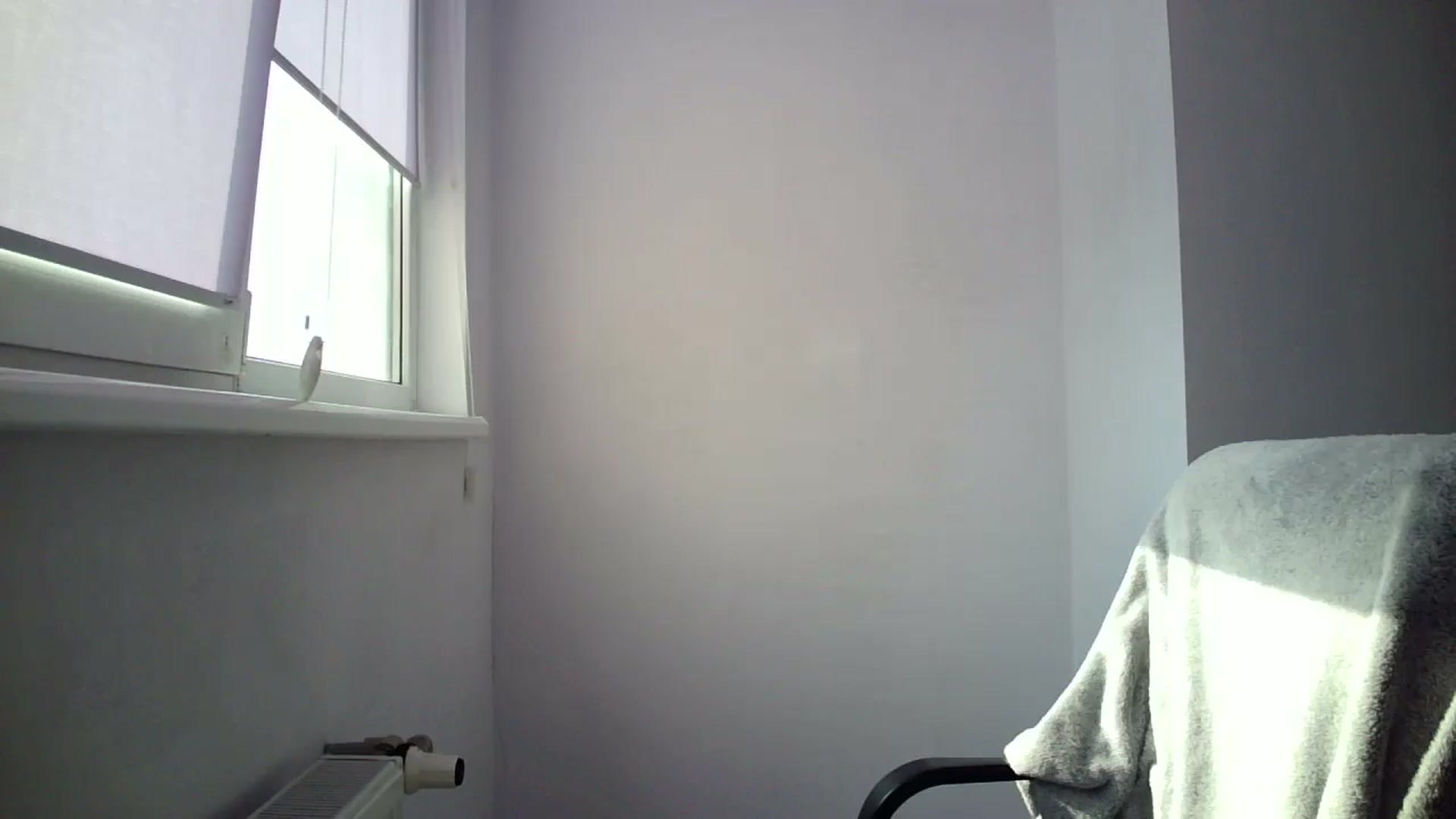 Gallery image thumbnail from MaryyCo's myfreecams stream on, 04/25/2025, 14:19 image 15 of 20