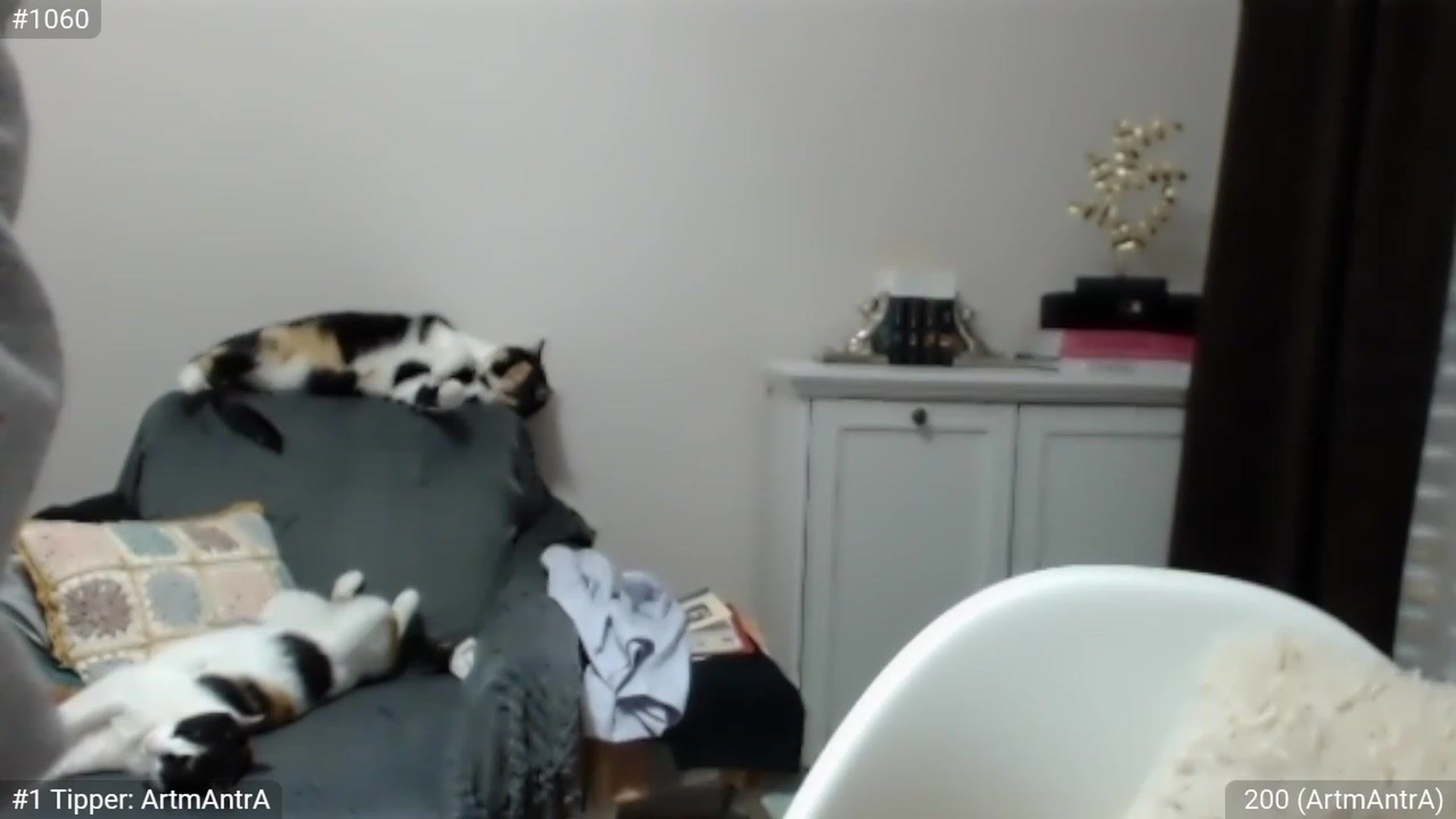 Gallery image thumbnail from MatchaGirl's myfreecams stream on, 06/03/2023, 23:10 image 5 of 20