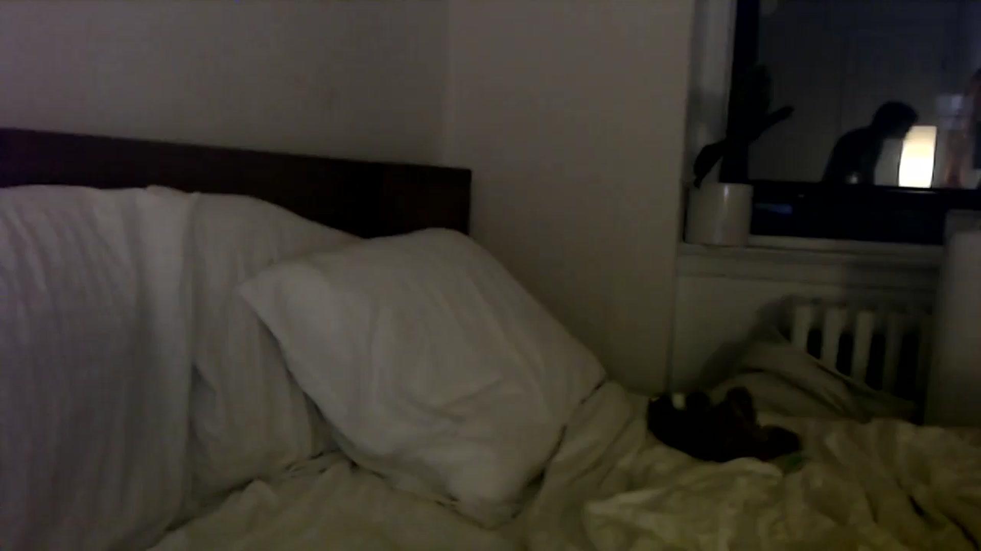 Gallery image thumbnail from MaxxyAugust's myfreecams stream on, 06/29/2024, 02:06 image 5 of 20