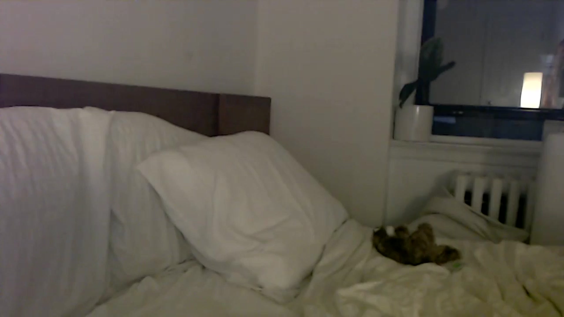 Gallery image thumbnail from MaxxyAugust's myfreecams stream on, 06/29/2024, 02:06 image 7 of 20