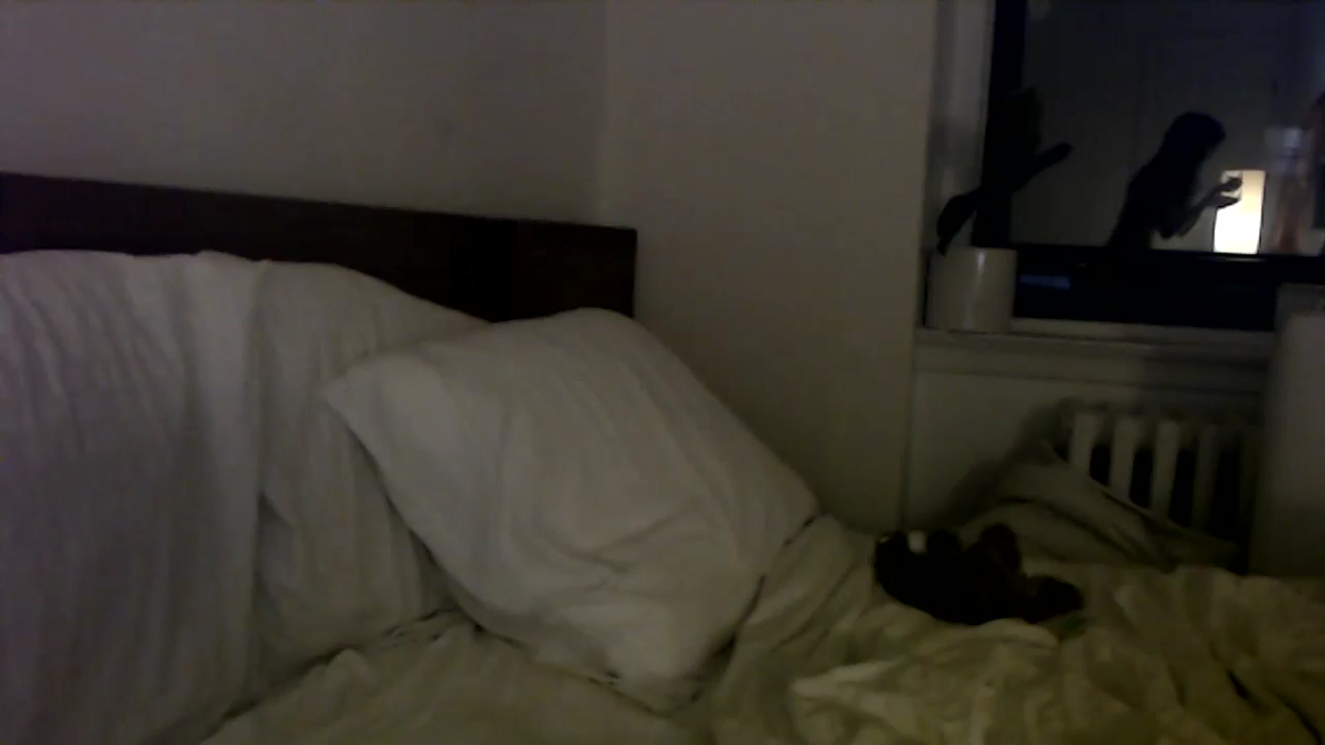 Gallery image thumbnail from MaxxyAugust's myfreecams stream on, 06/29/2024, 02:06 image 2 of 20