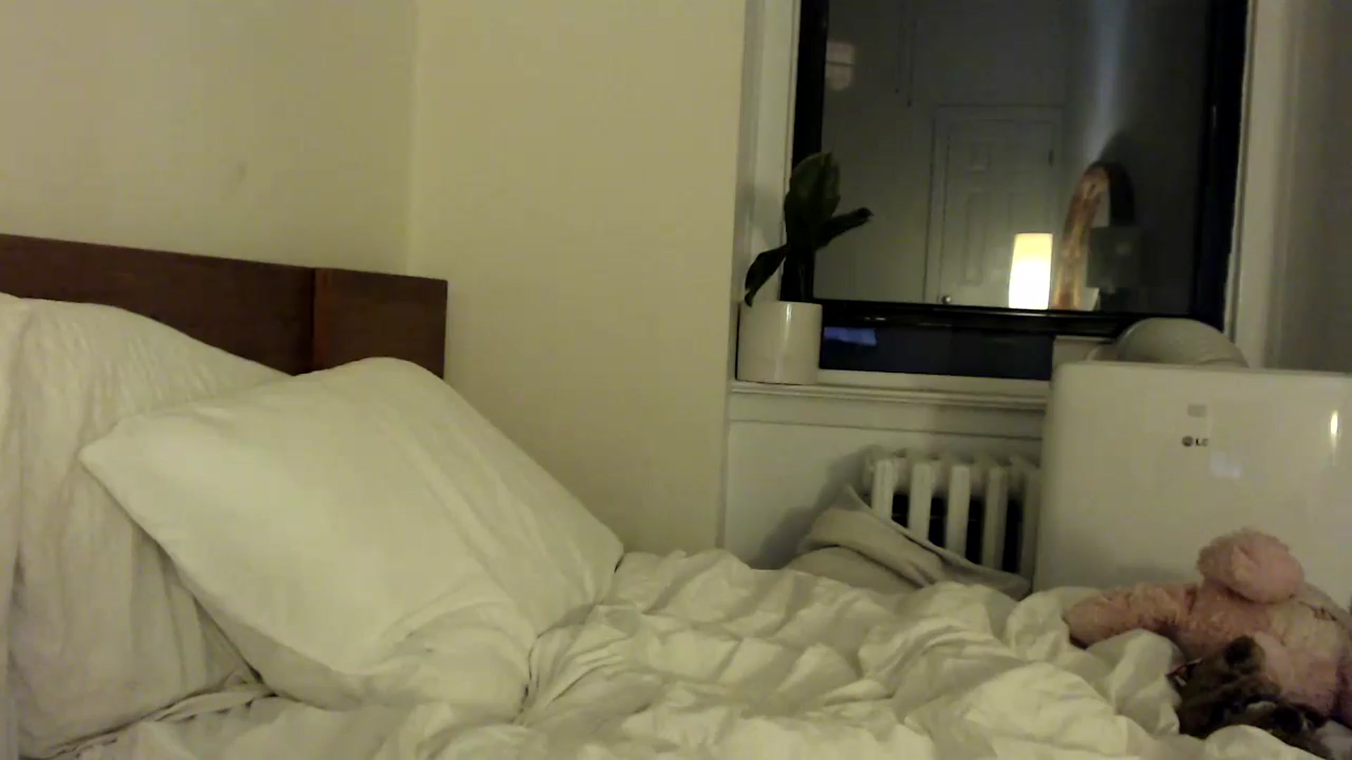 Gallery image thumbnail from MaxxyAugust's myfreecams stream on, 06/29/2024, 03:16 image 16 of 20
