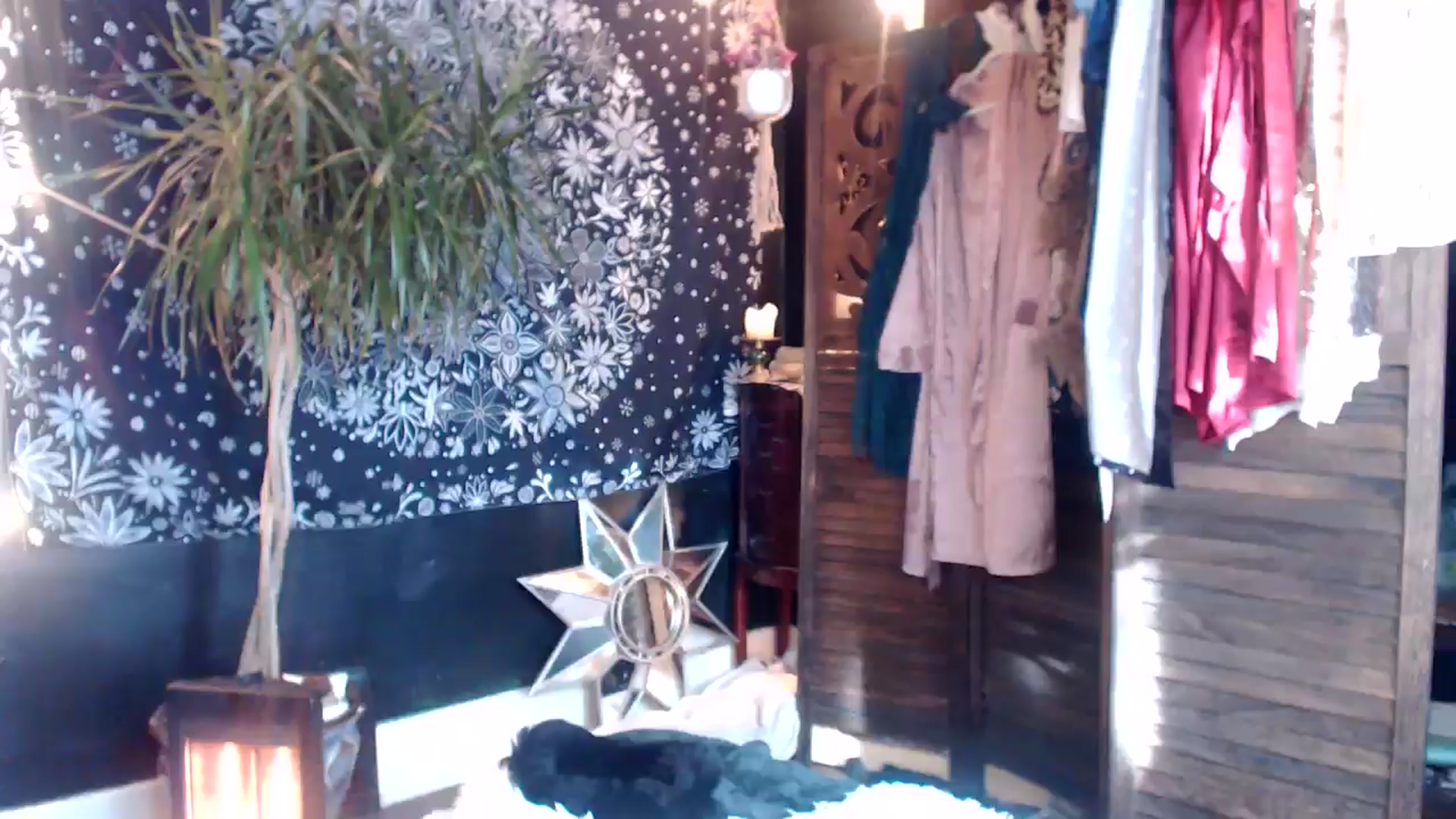 Gallery image thumbnail from MayGray's myfreecams stream on, 03/23/2025, 14:10 image 20 of 20