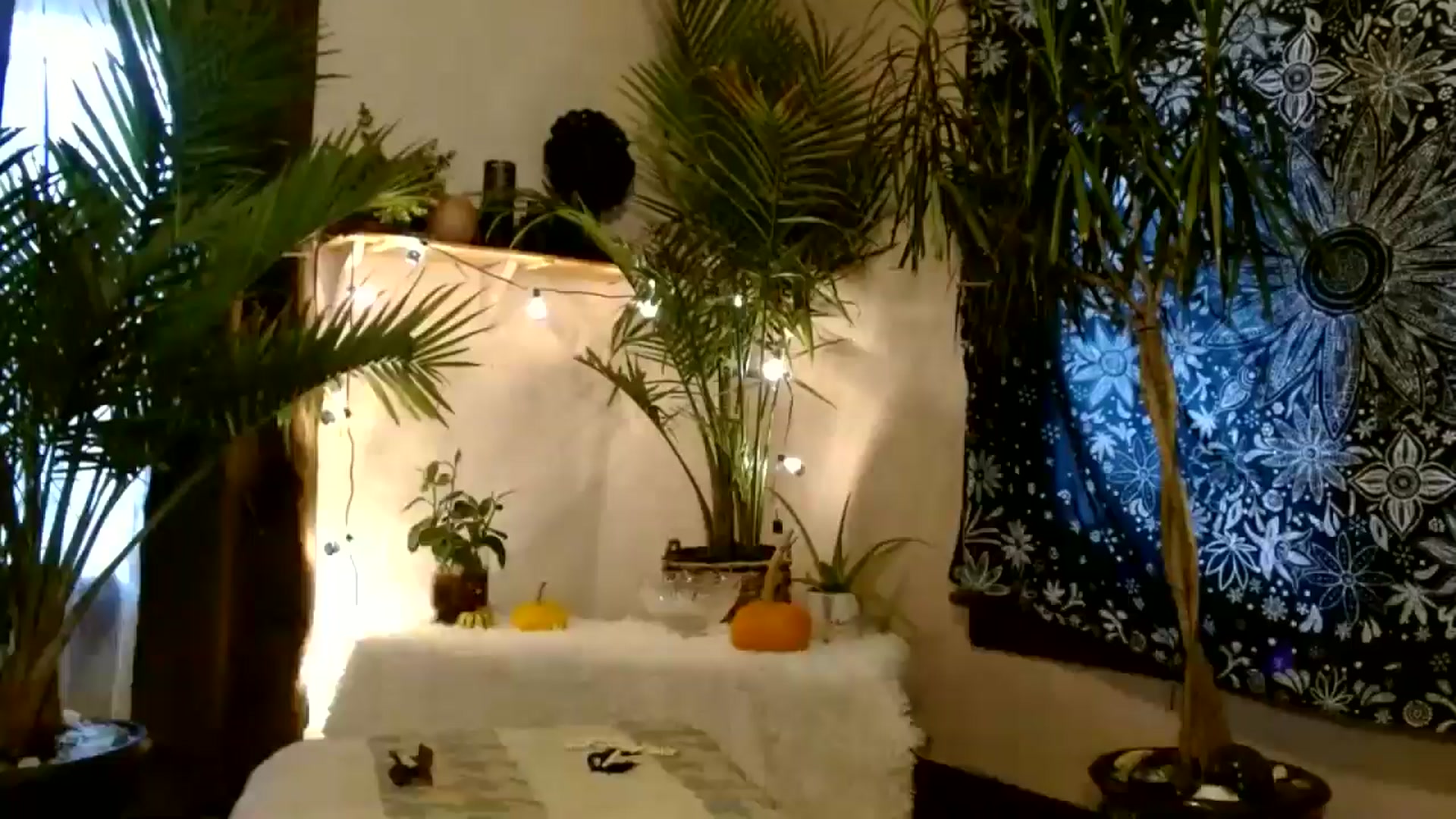 Gallery image thumbnail from MayGray's myfreecams stream on, 10/25/2025, 14:36 image 6 of 20