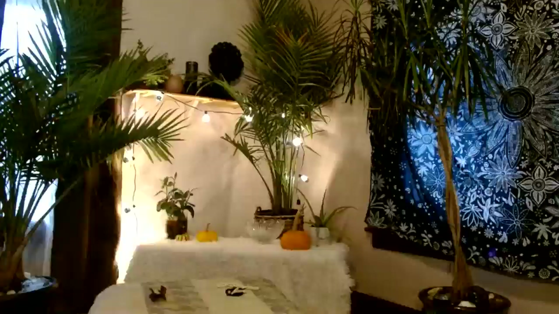 Gallery image thumbnail from MayGray's myfreecams stream on, 10/25/2025, 14:36 image 5 of 20