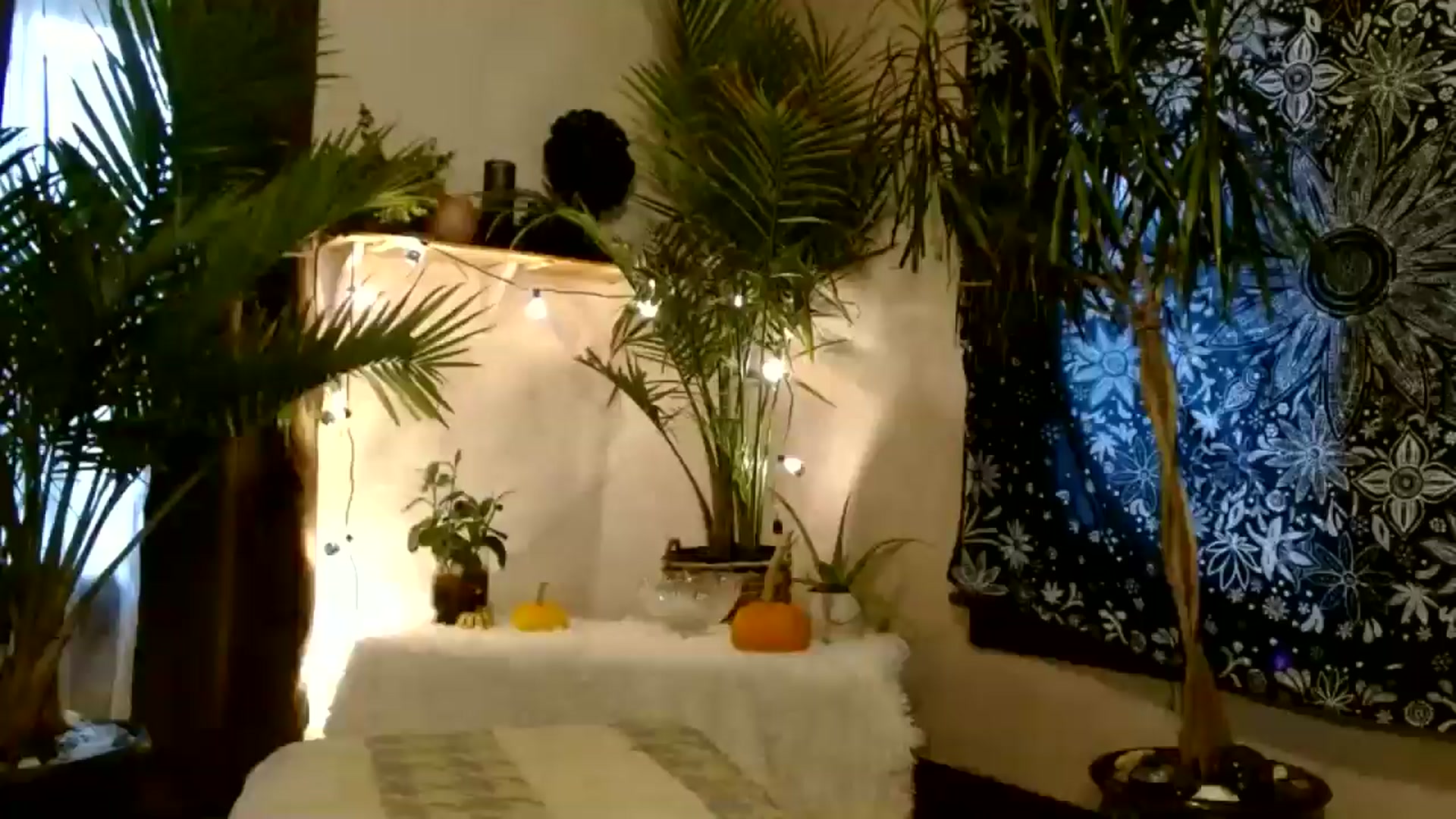 Gallery image thumbnail from MayGray's myfreecams stream on, 10/25/2025, 14:36 image 20 of 20