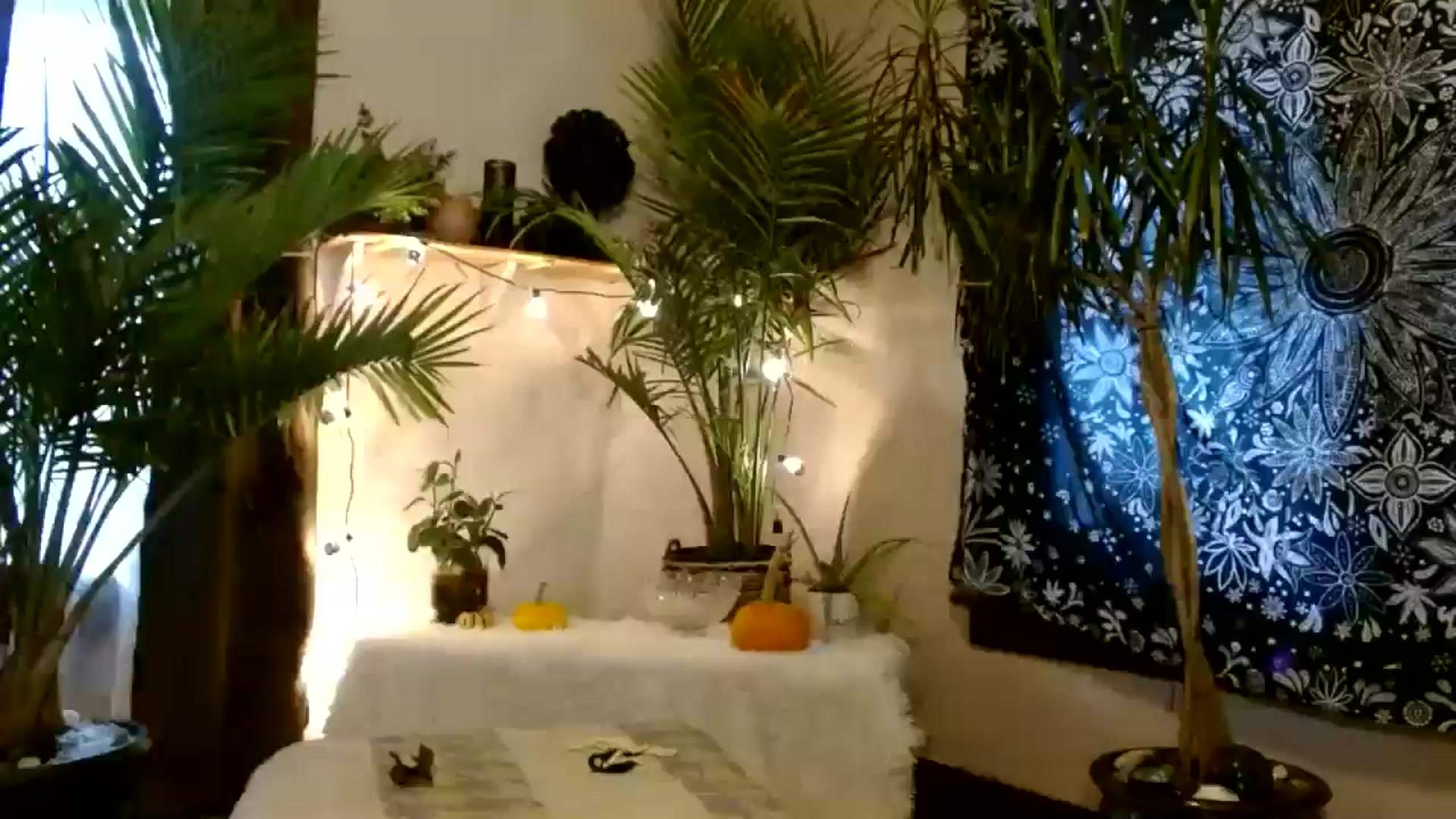 Gallery image thumbnail from MayGray's myfreecams stream on, 10/25/2025, 14:36 image 3 of 20