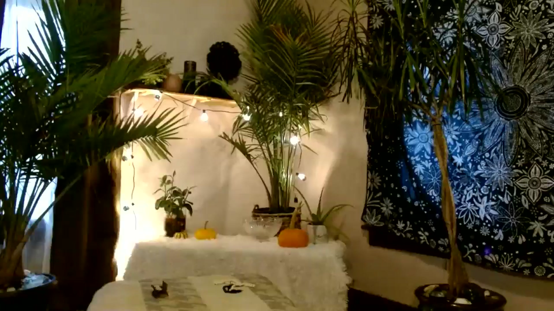 Gallery image thumbnail from MayGray's myfreecams stream on, 10/25/2025, 14:36 image 13 of 20