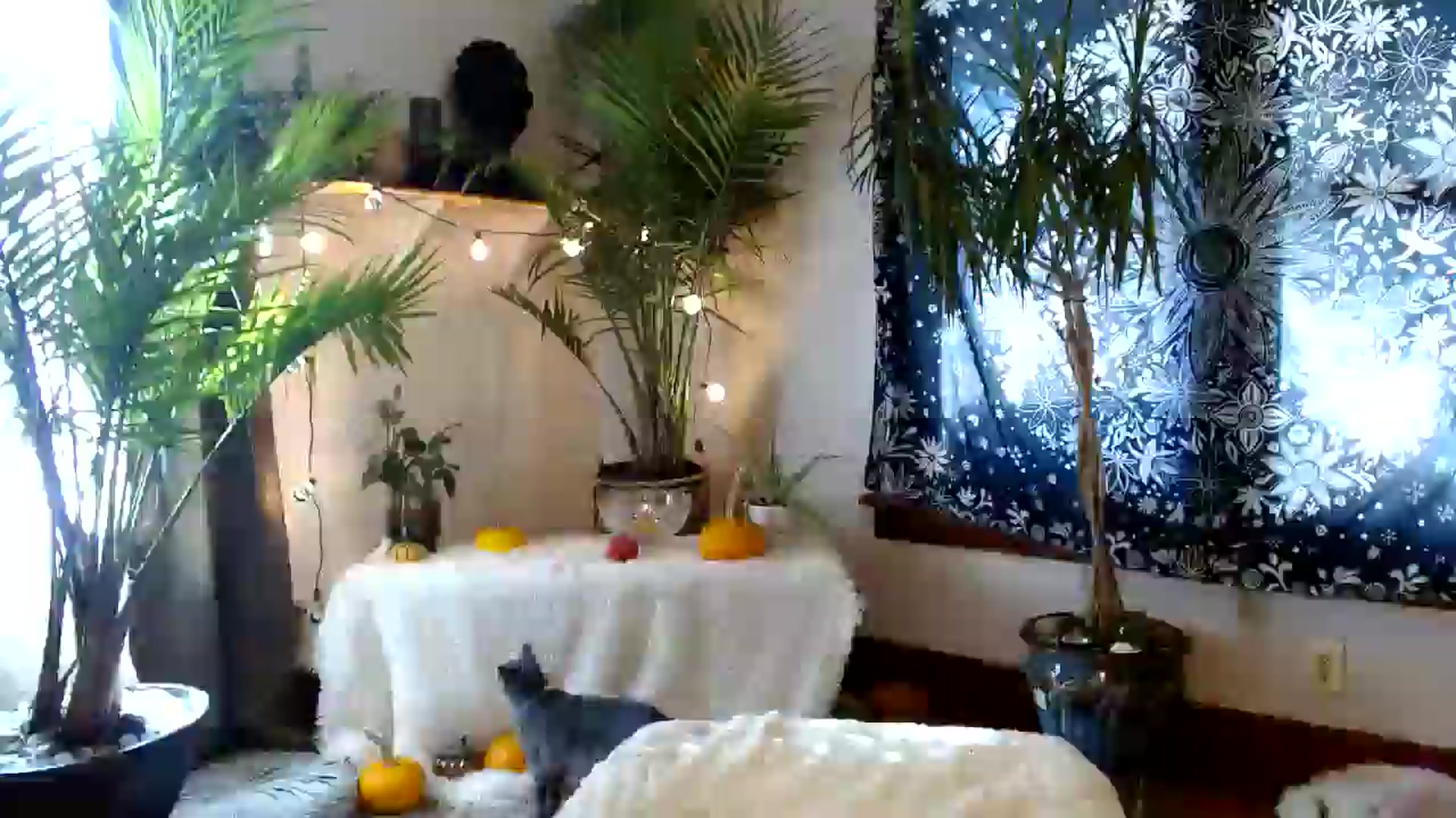 Gallery image thumbnail from MayGray's myfreecams stream on, 10/26/2025, 16:47 image 8 of 20