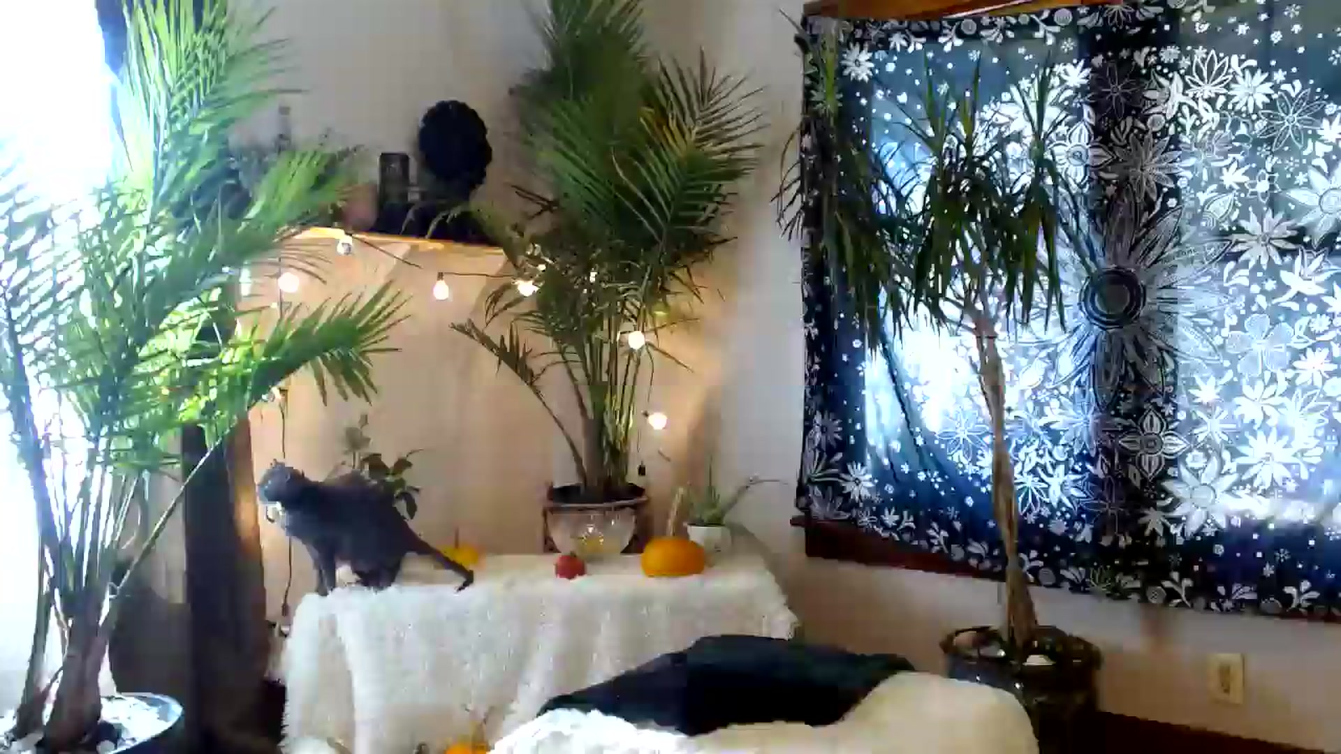 Gallery image thumbnail from MayGray's myfreecams stream on, 10/26/2025, 17:12 image 18 of 20