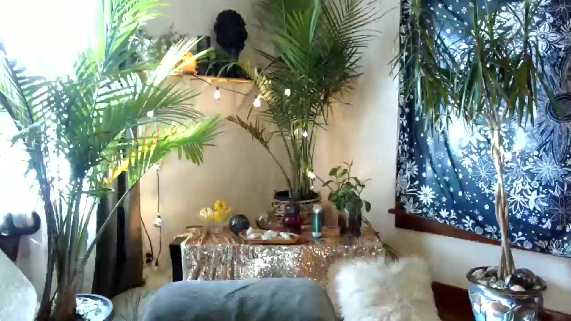 Gallery image thumbnail from MayGray's myfreecams stream on, 11/16/2025, 15:24 image 20 of 20