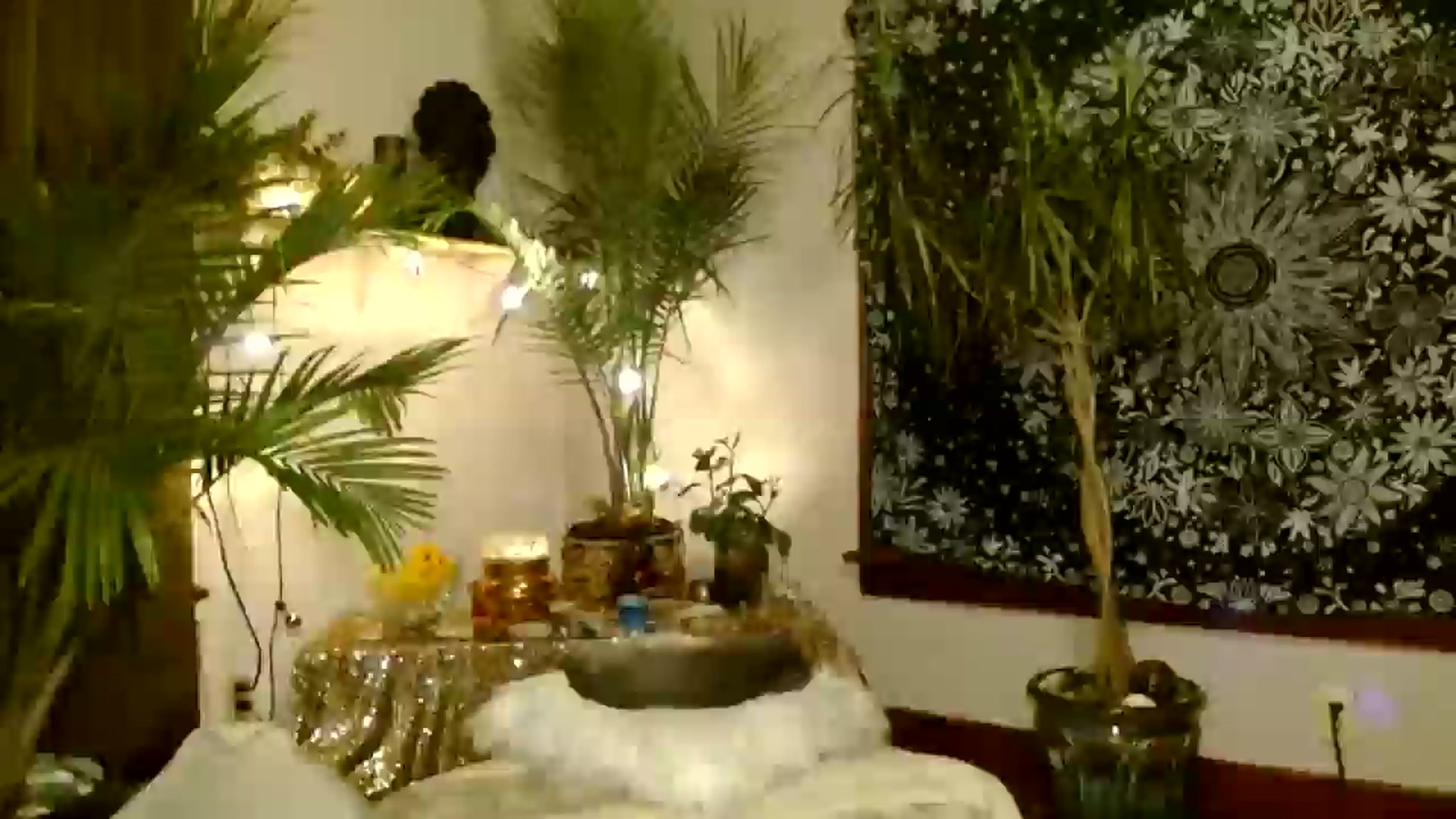 Gallery image thumbnail from MayGray's myfreecams stream on, 12/12/2025, 12:22 image 11 of 20