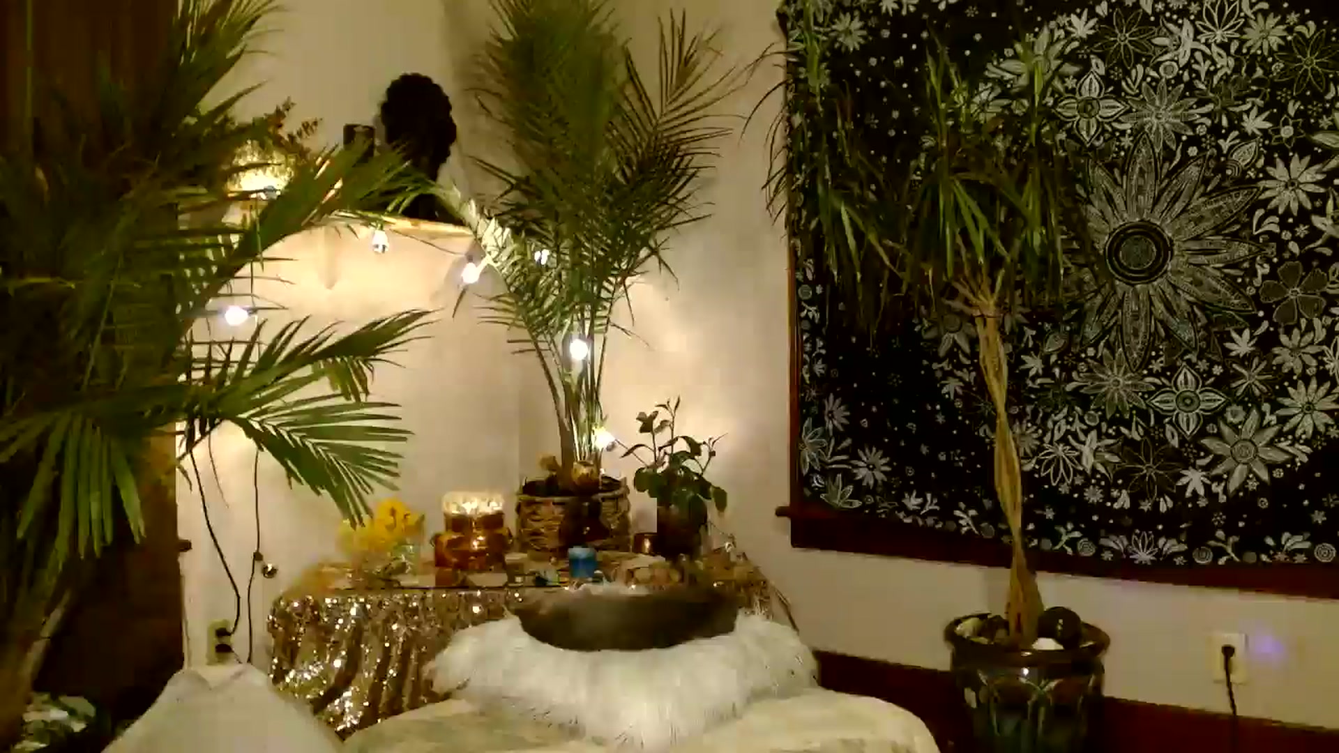 Gallery image thumbnail from MayGray's myfreecams stream on, 12/12/2025, 12:22 image 6 of 20