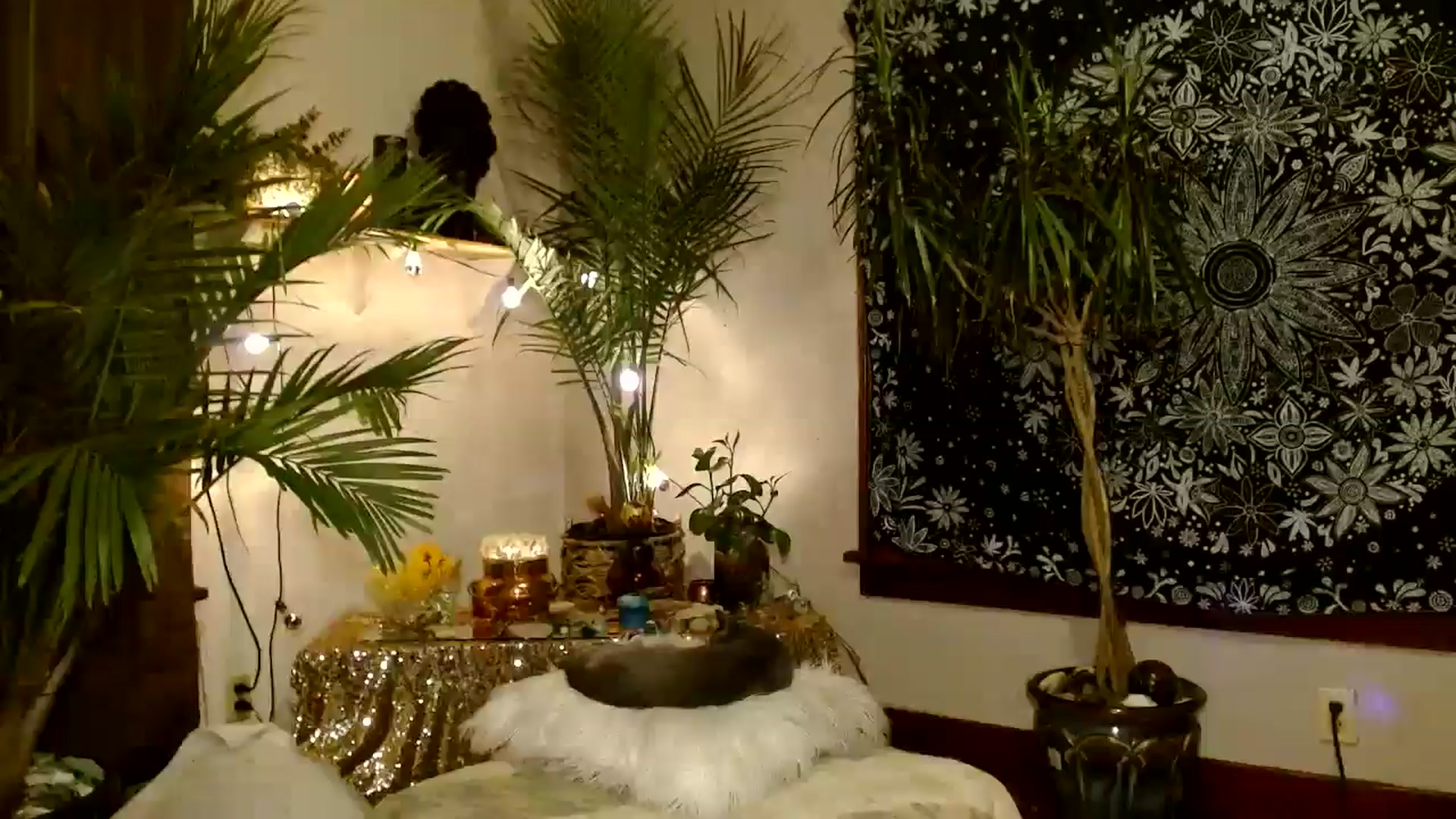 Gallery image thumbnail from MayGray's myfreecams stream on, 12/12/2025, 12:22 image 3 of 20