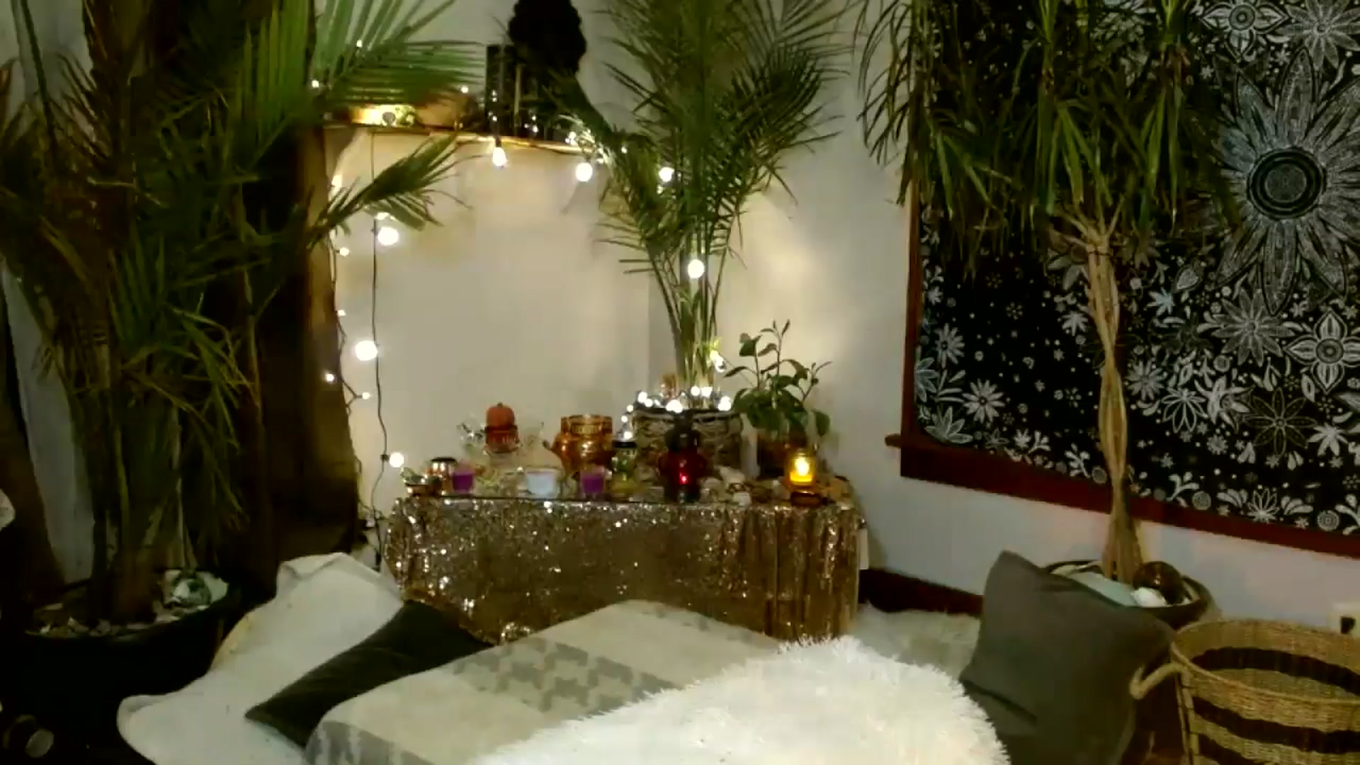 Gallery image thumbnail from MayGray's myfreecams stream on, 01/01/2026, 11:17 image 14 of 20