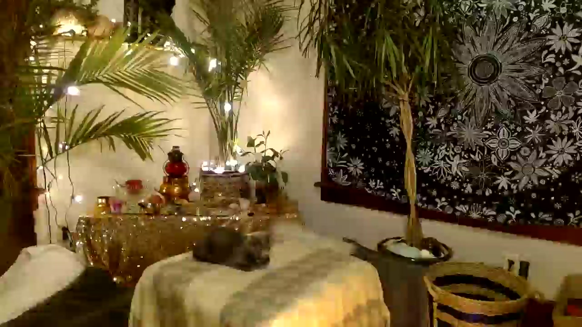 Gallery image thumbnail from MayGray's myfreecams stream on, 01/03/2026, 12:33 image 18 of 20