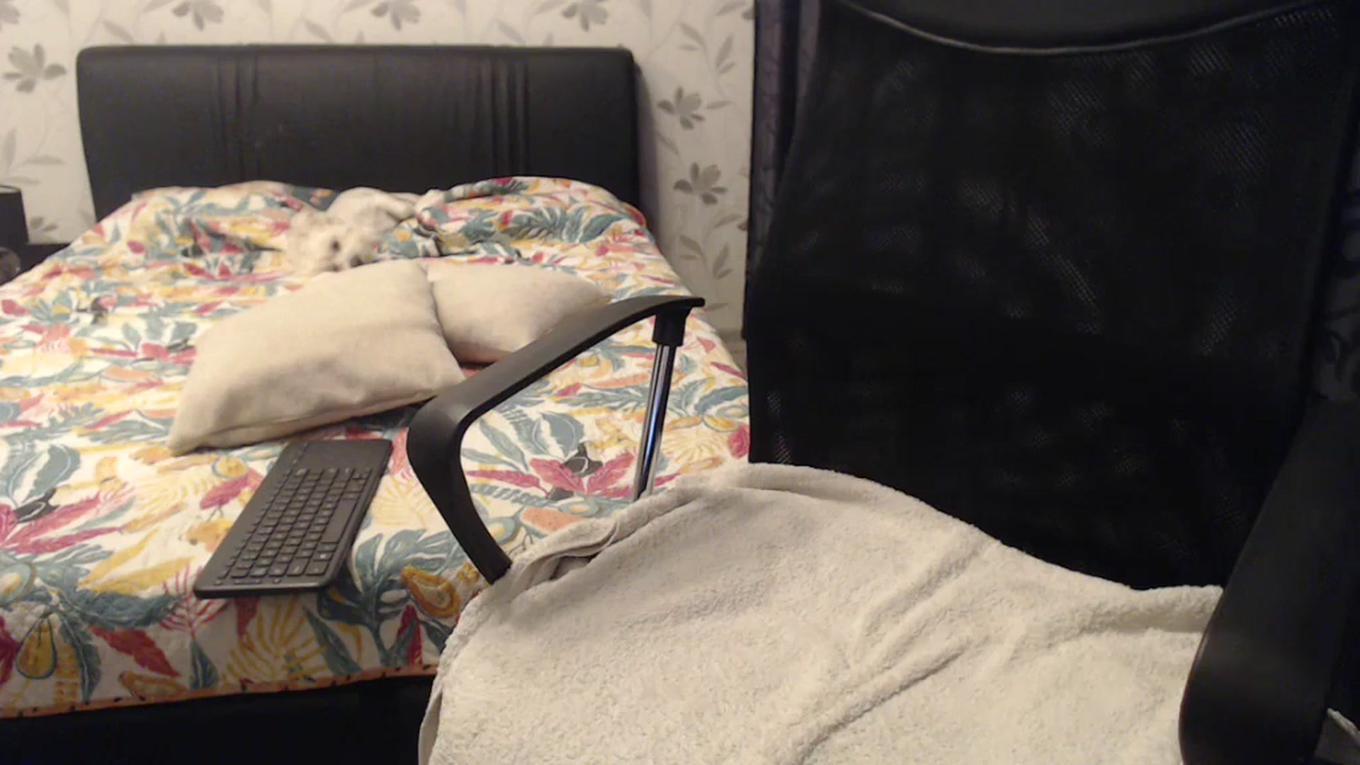 Gallery image thumbnail from Maya19fun's myfreecams stream on, 10/08/2025, 13:07 image 17 of 20