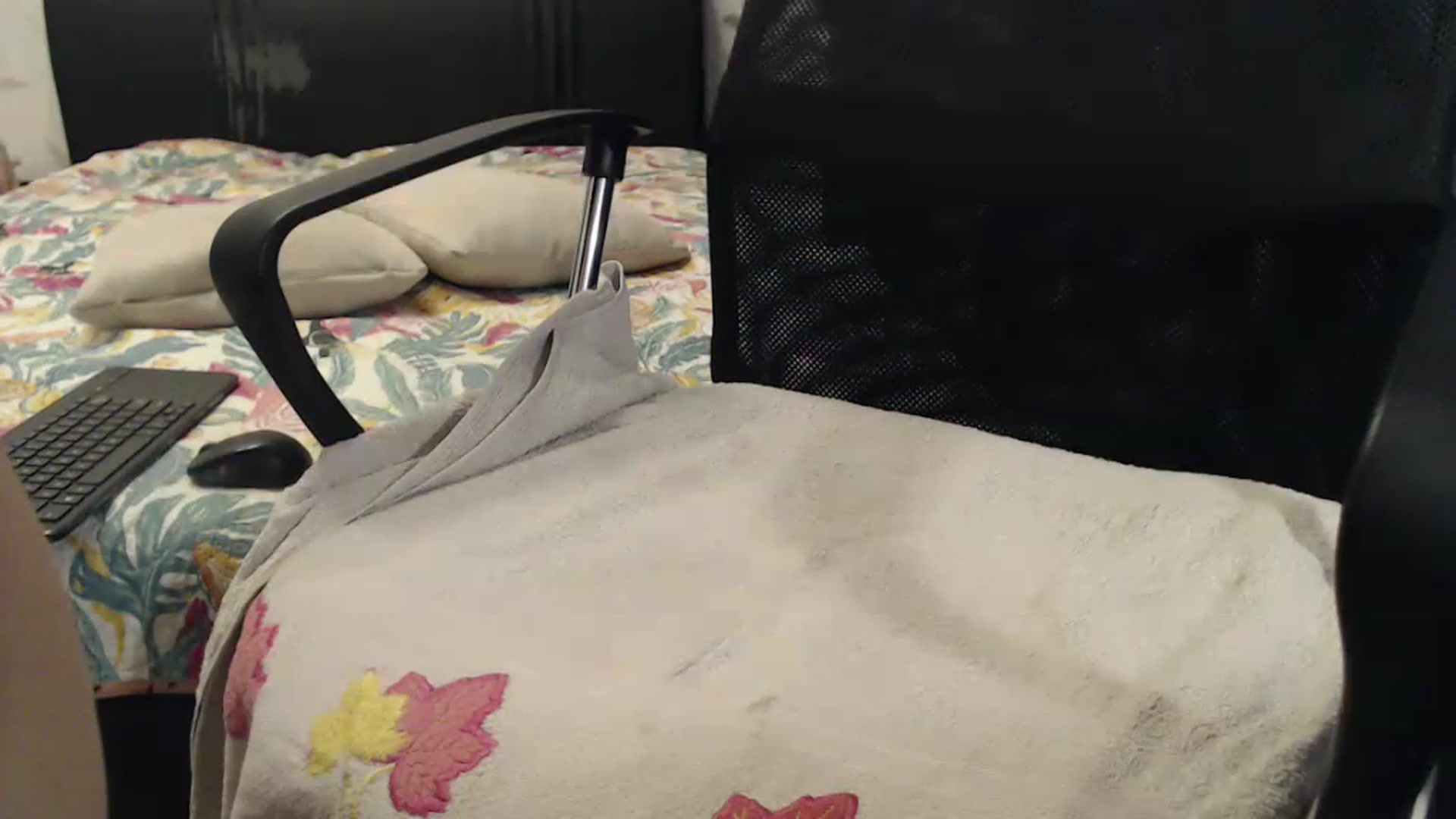 Gallery image thumbnail from Maya19fun's myfreecams stream on, 09/15/2026, 07:24 image 12 of 20
