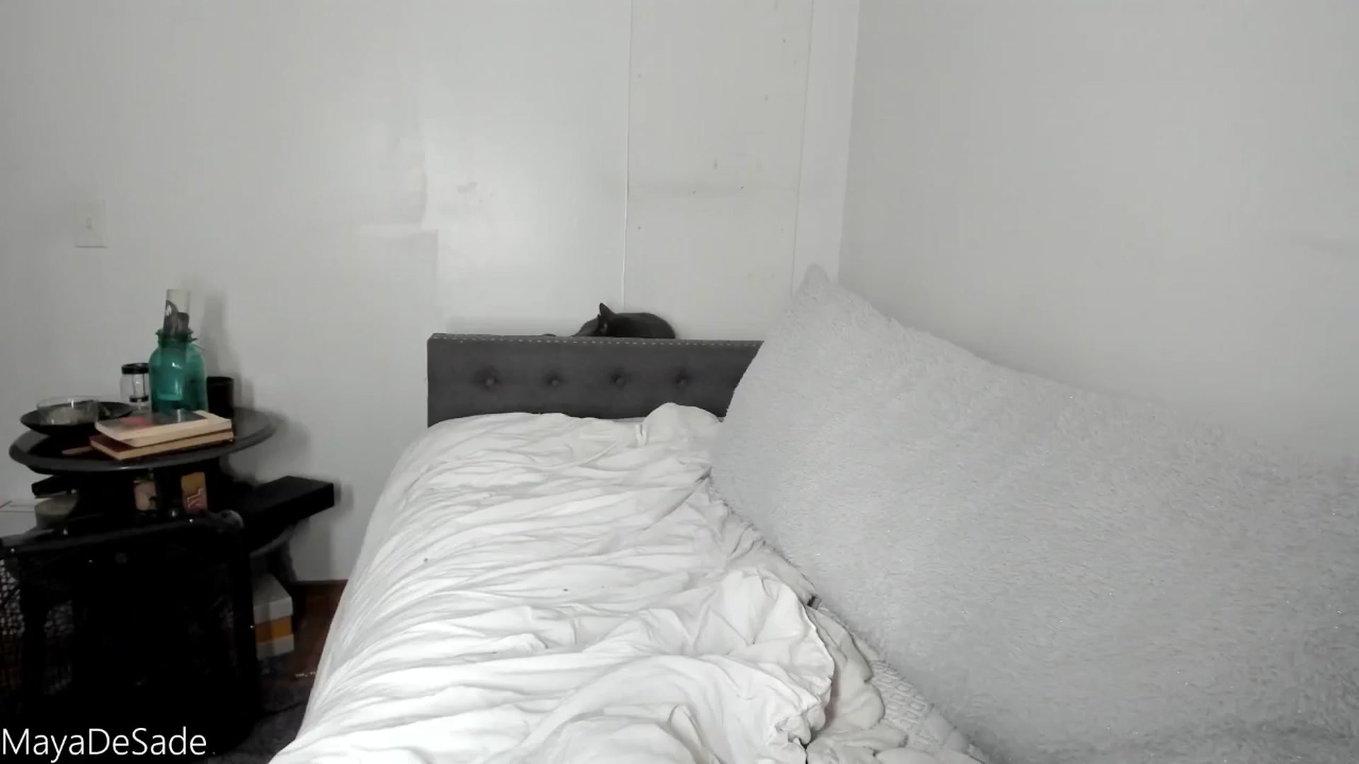 Gallery image thumbnail from MayaDeSade's myfreecams stream on, 09/20/2025, 16:40 image 18 of 20