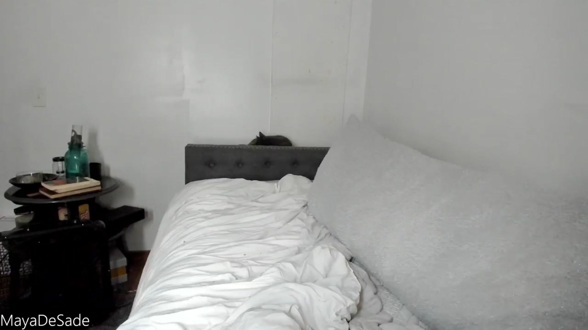 Gallery image thumbnail from MayaDeSade's myfreecams stream on, 09/20/2025, 16:40 image 20 of 20